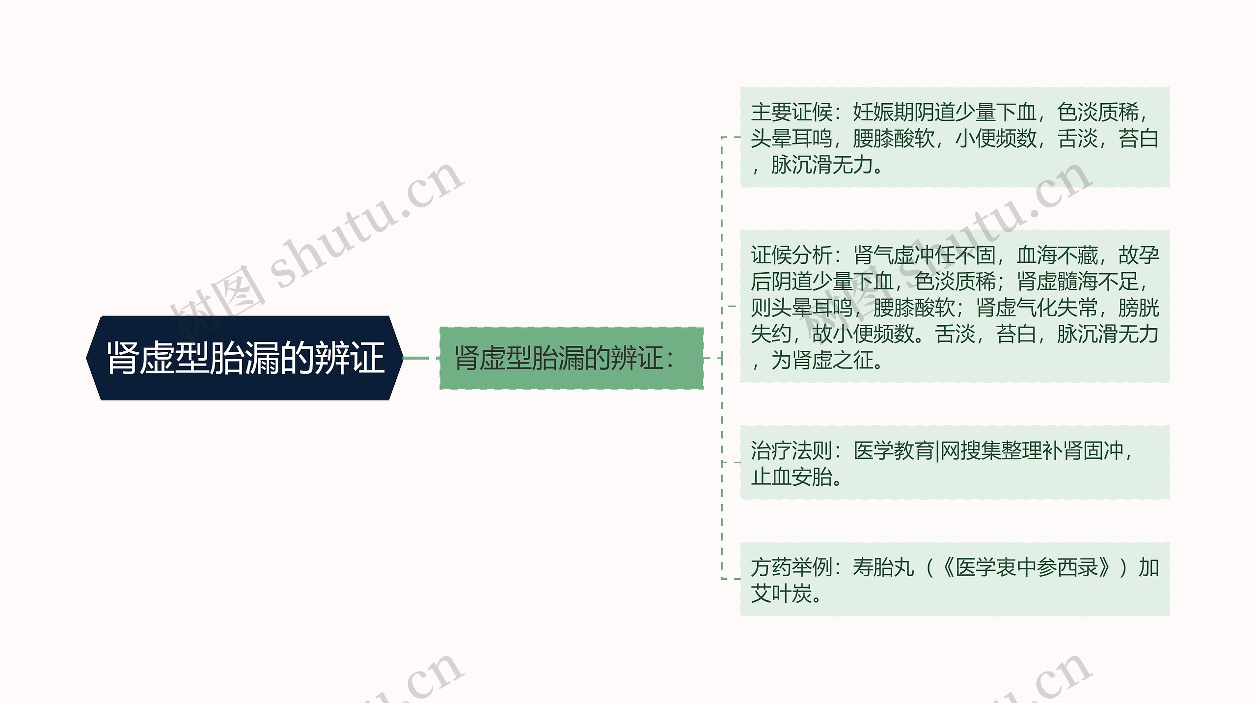 肾虚型胎漏的辨证思维导图