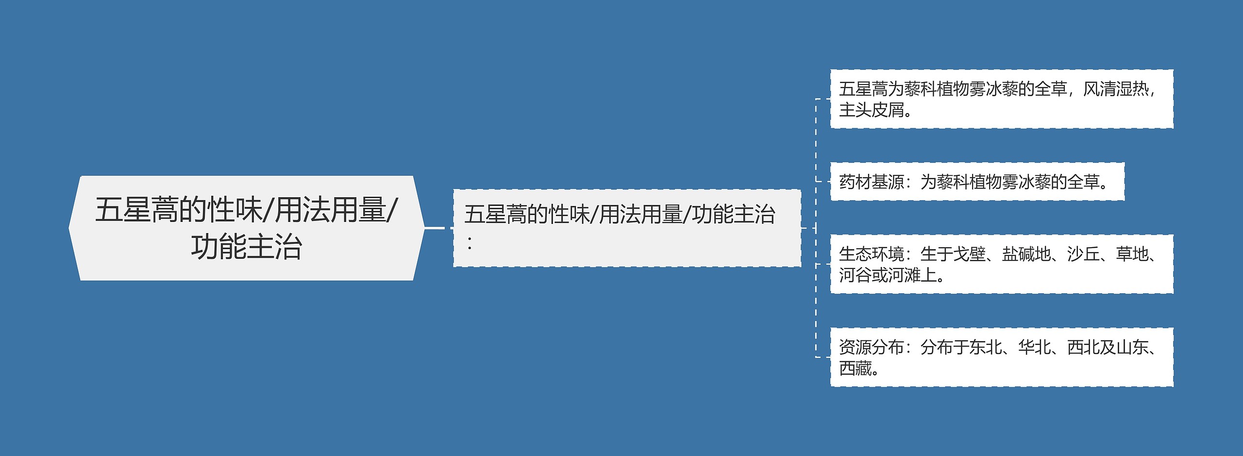 五星蒿的性味/用法用量/功能主治思维导图