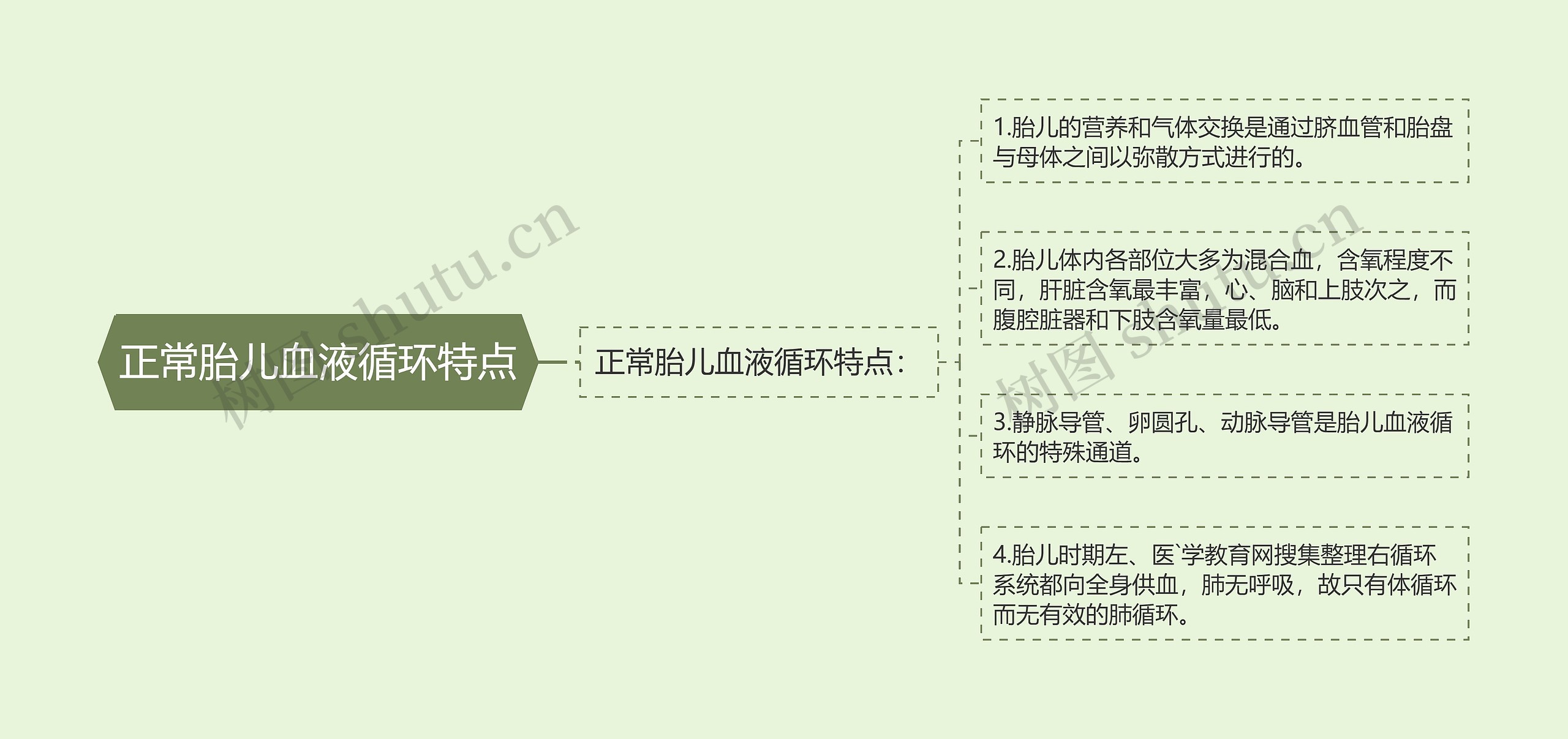 正常胎儿血液循环特点