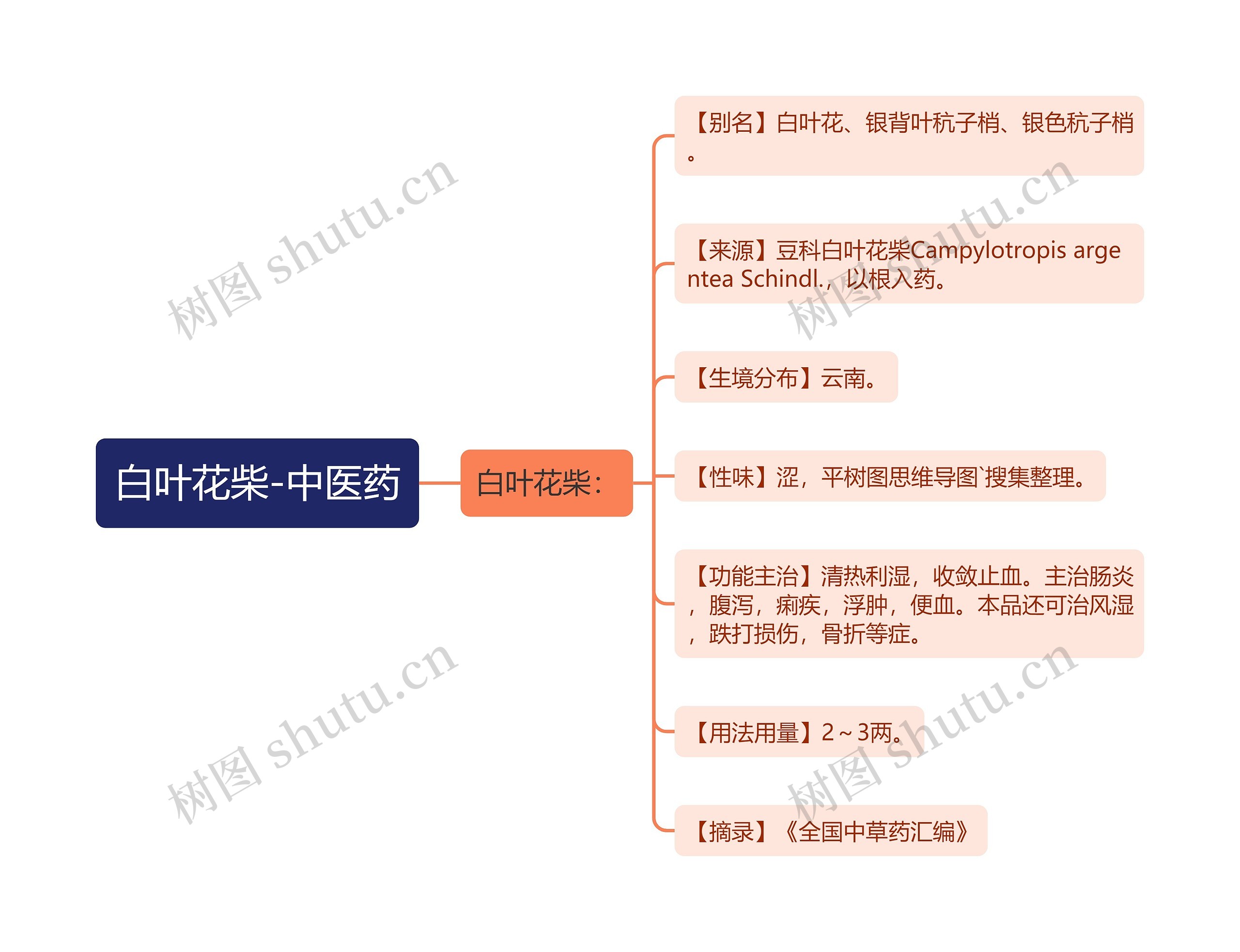 白叶花柴-中医药思维导图