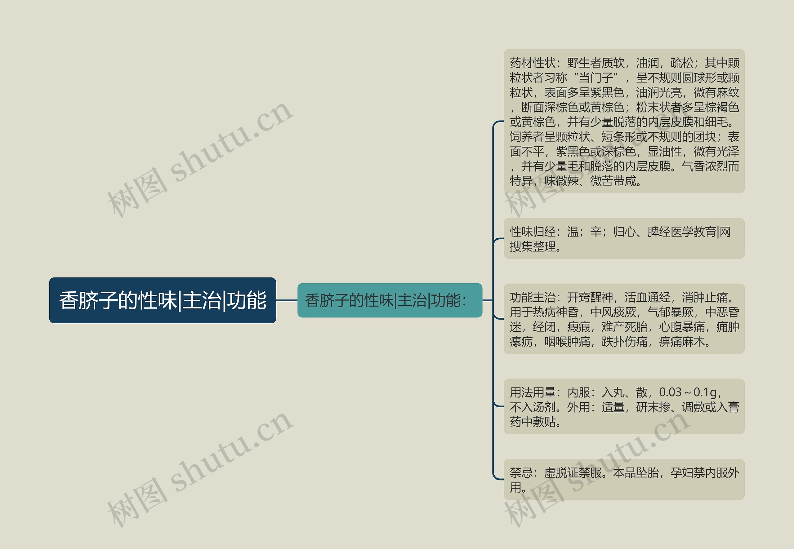 香脐子的性味|主治|功能思维导图