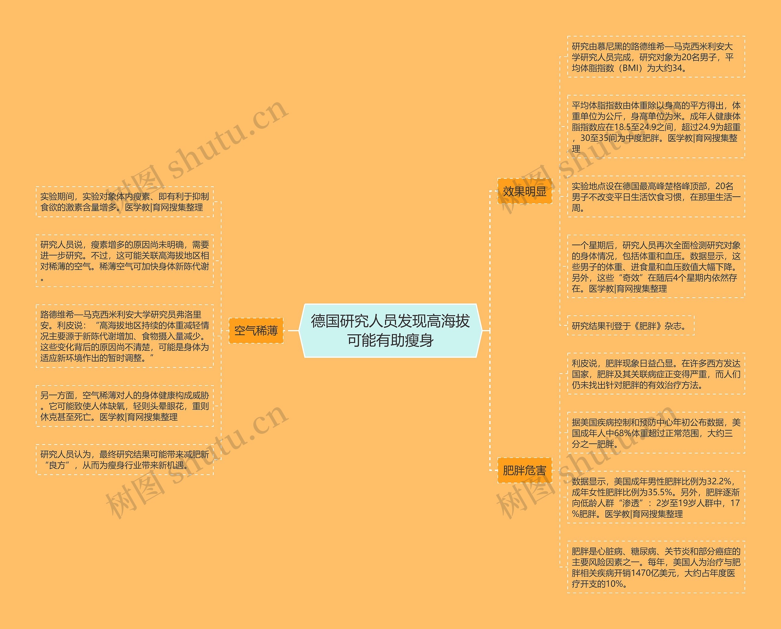 德国研究人员发现高海拔可能有助瘦身思维导图