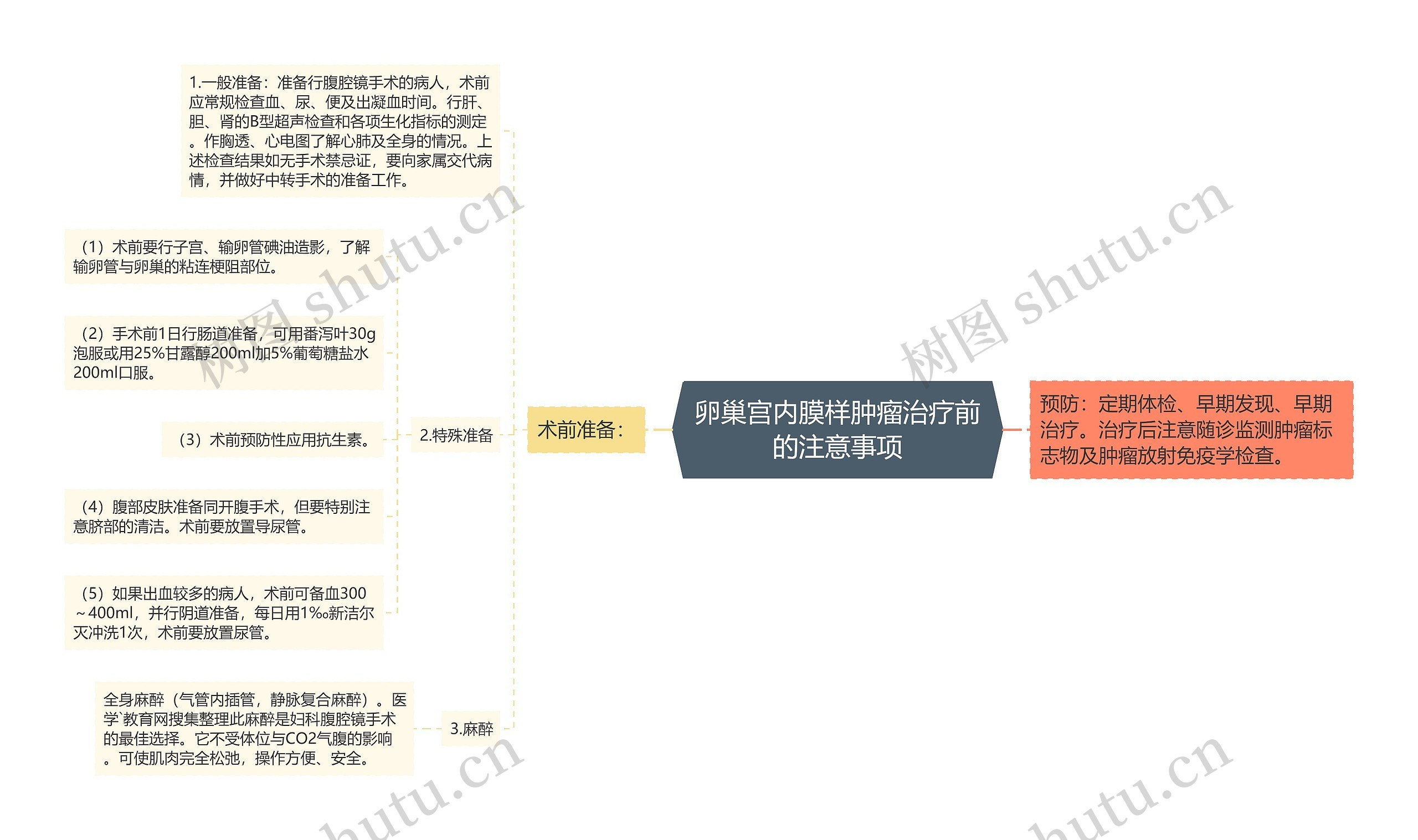 卵巢宫内膜样肿瘤治疗前的注意事项思维导图