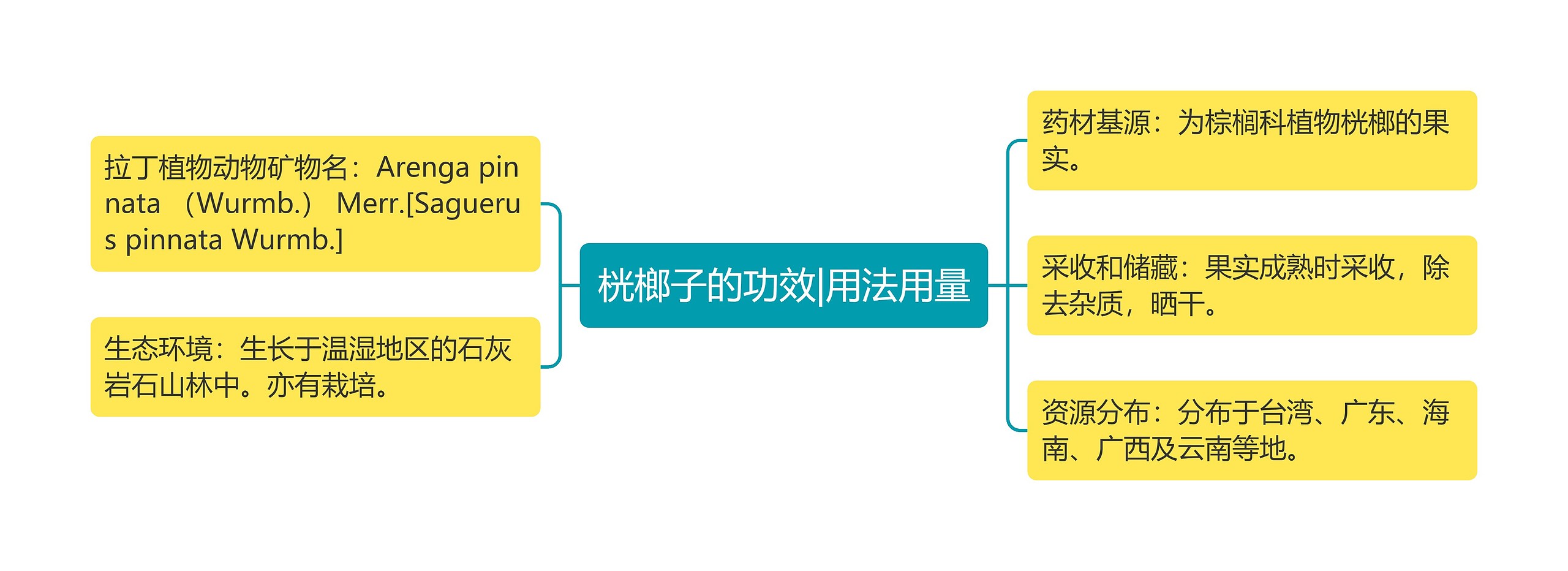 桄榔子的功效|用法用量