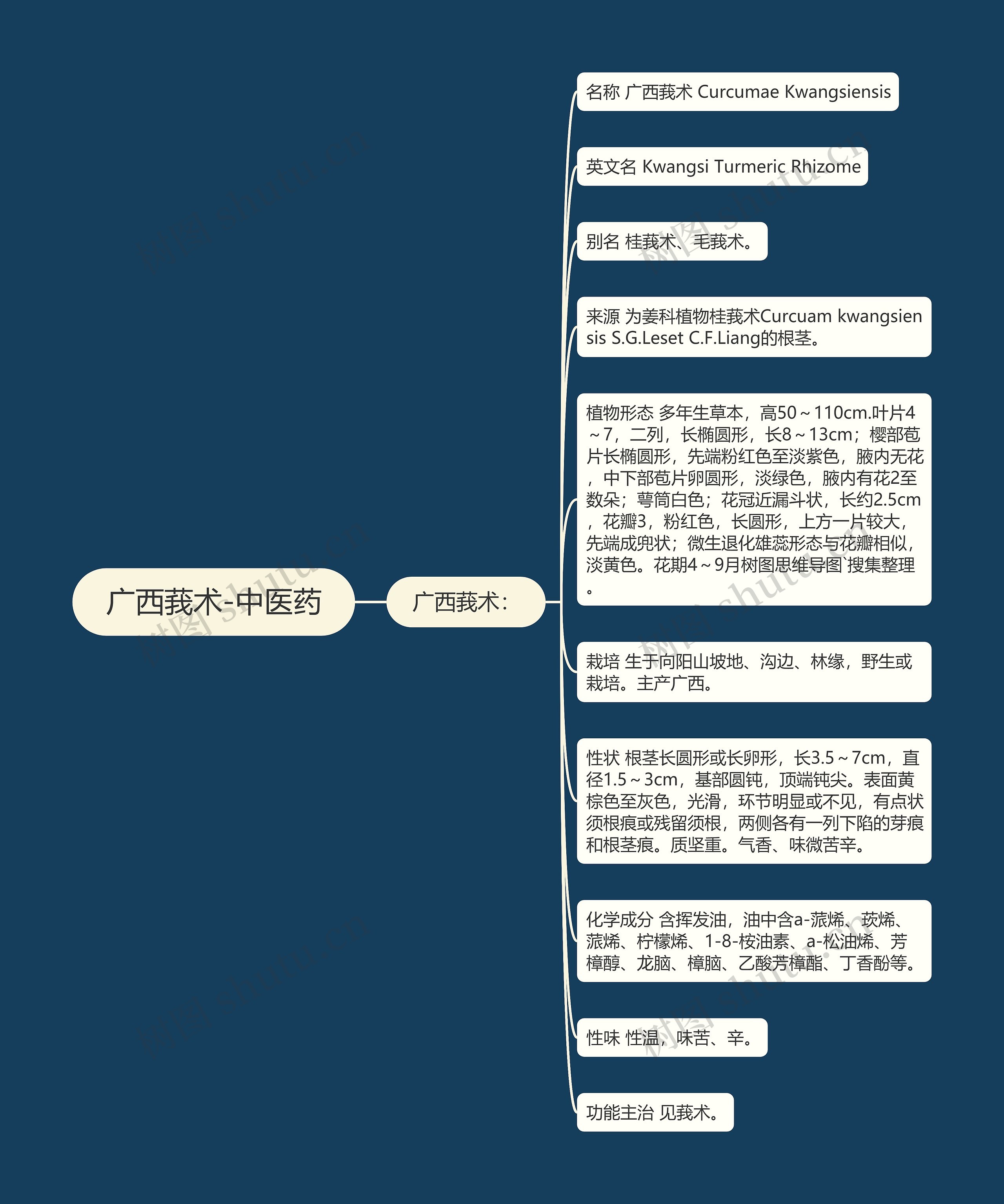 广西莪术-中医药 广西莪术-中医药