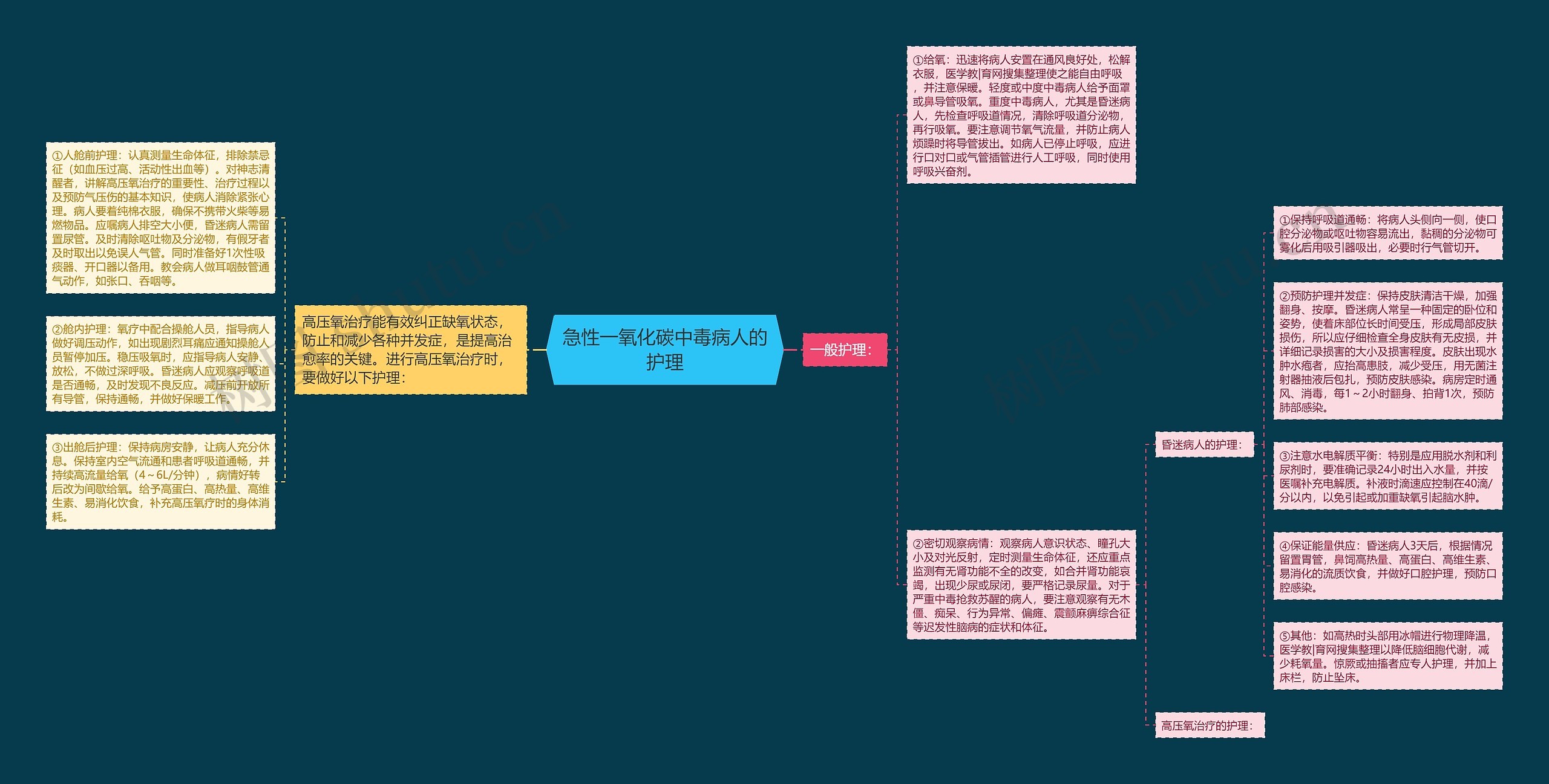 急性一氧化碳中毒病人的护理