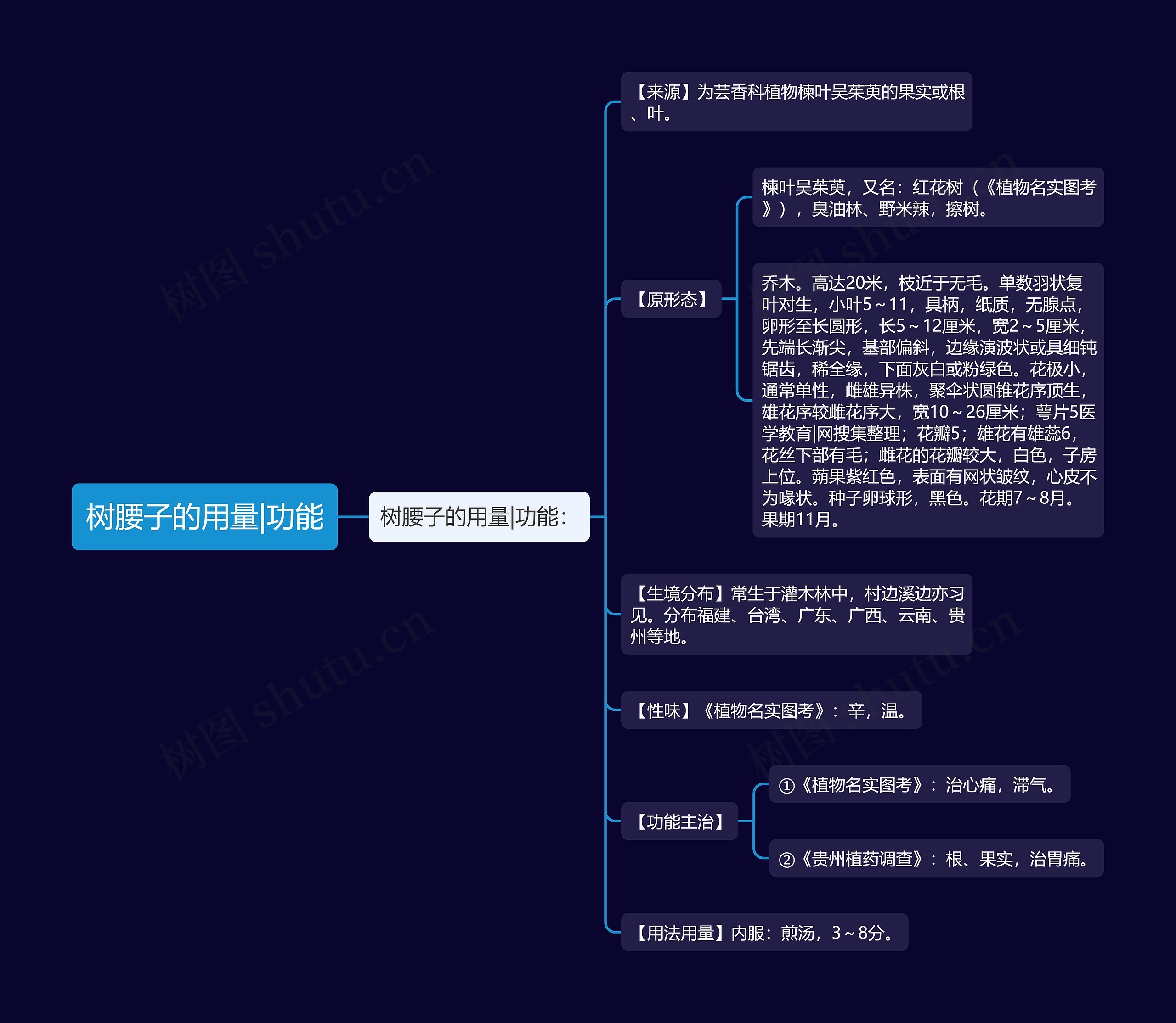 树腰子的用量|功能