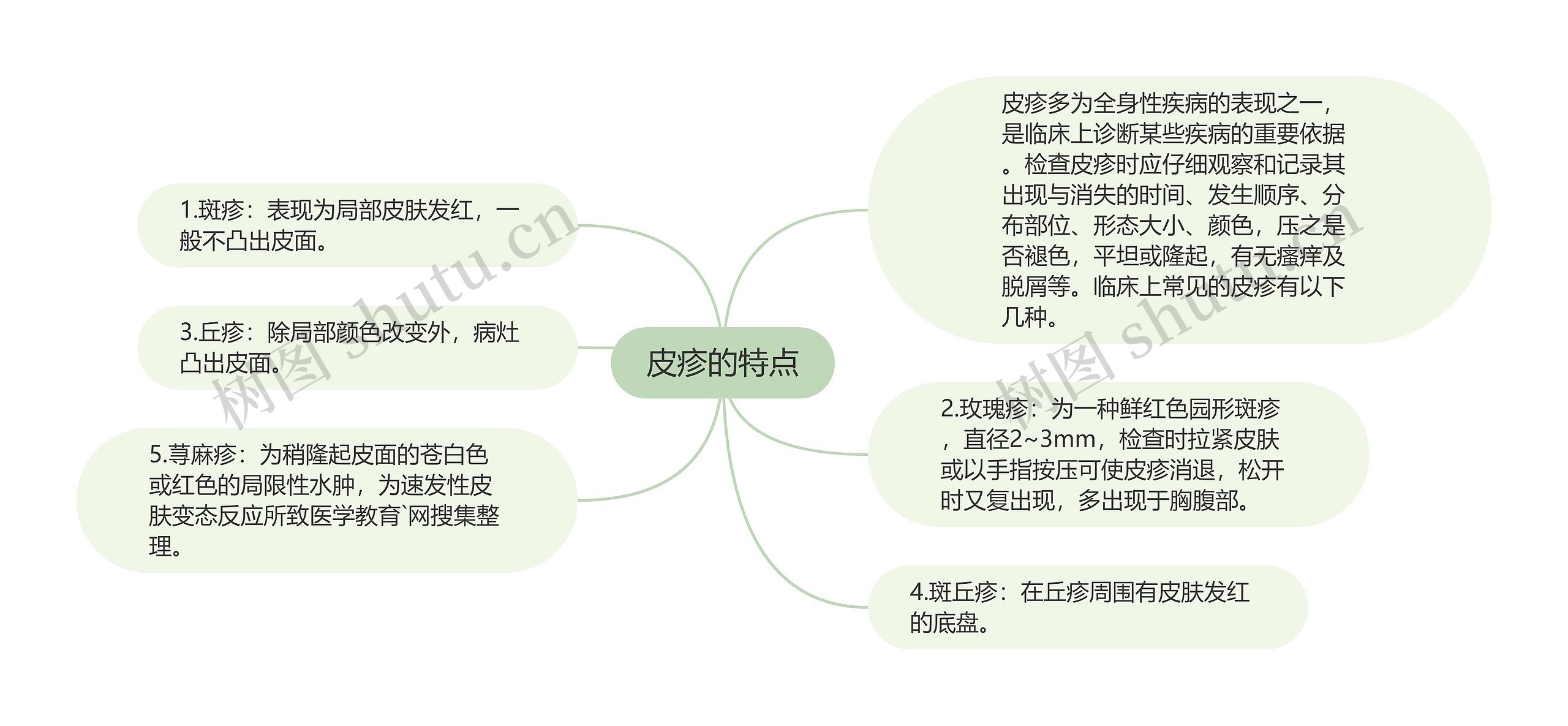 皮疹的特点思维导图