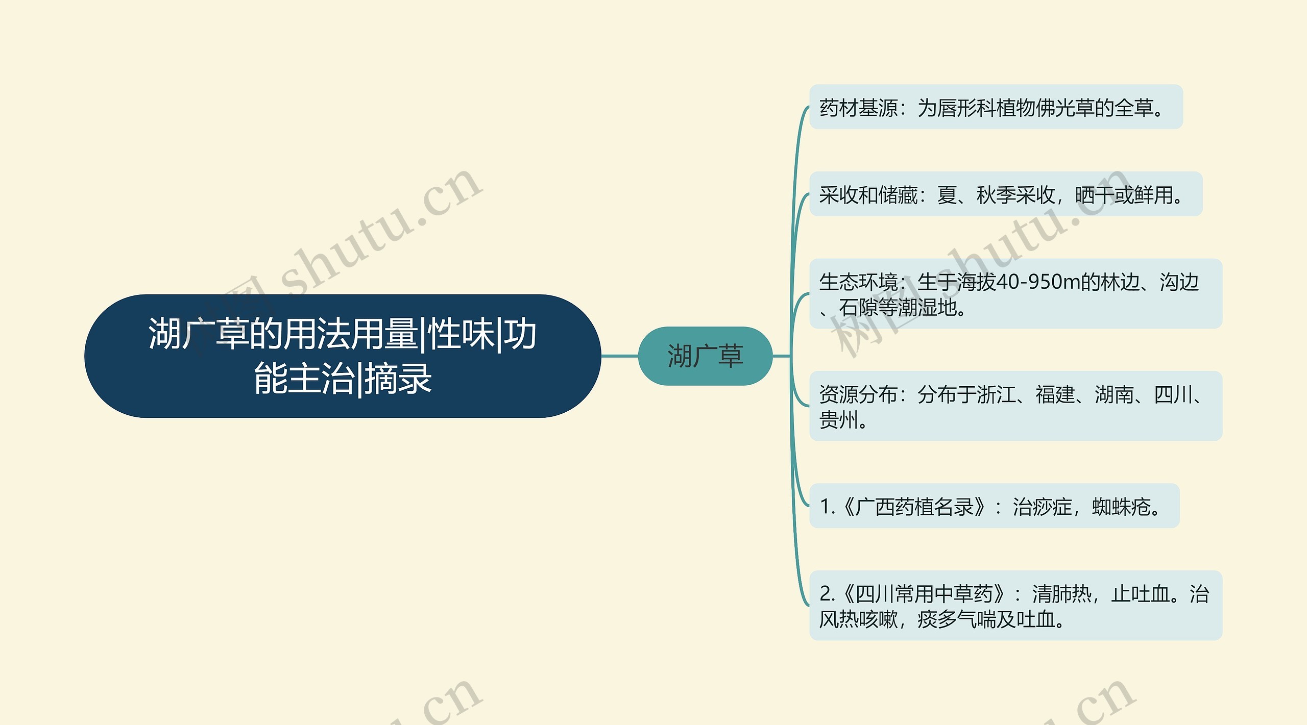 湖广草的用法用量|性味|功能主治|摘录思维导图