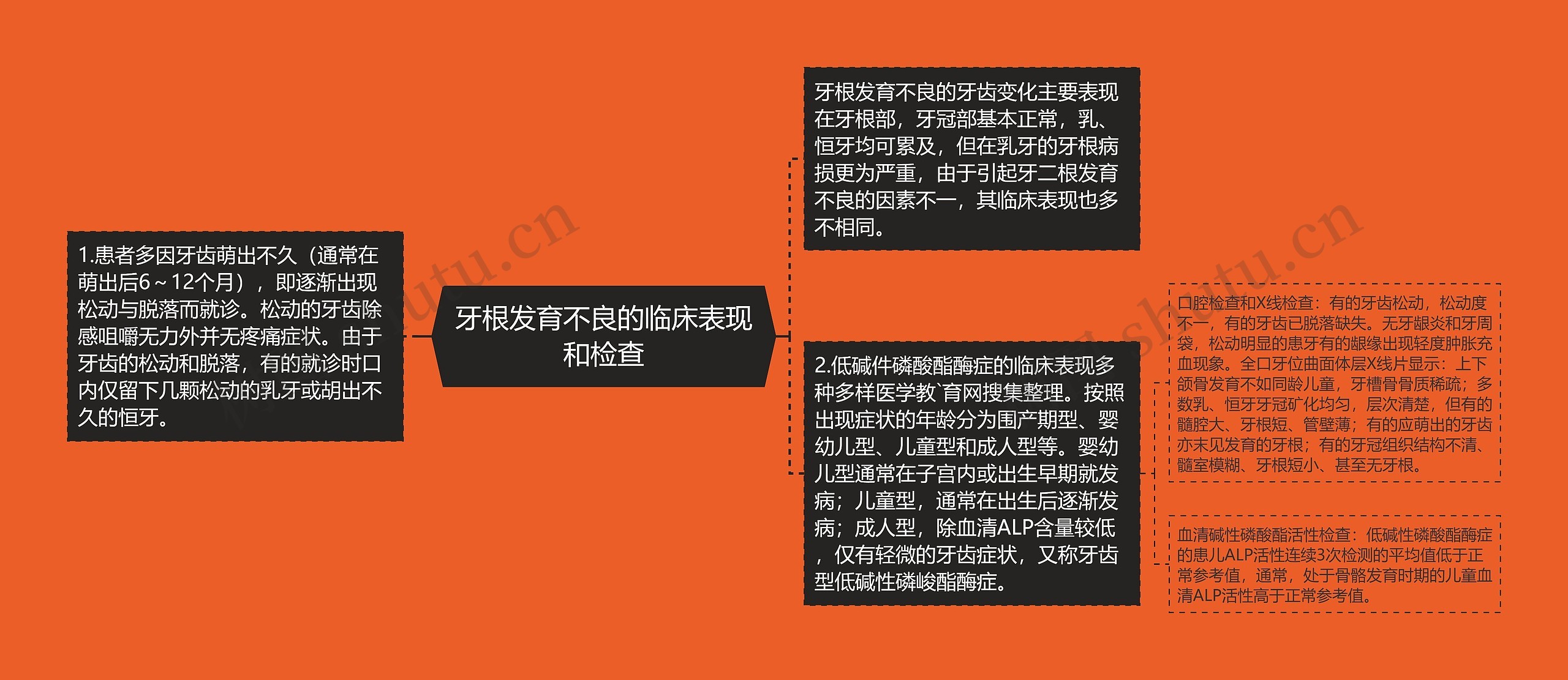 牙根发育不良的临床表现和检查 牙根发育不良的临床表现和检查