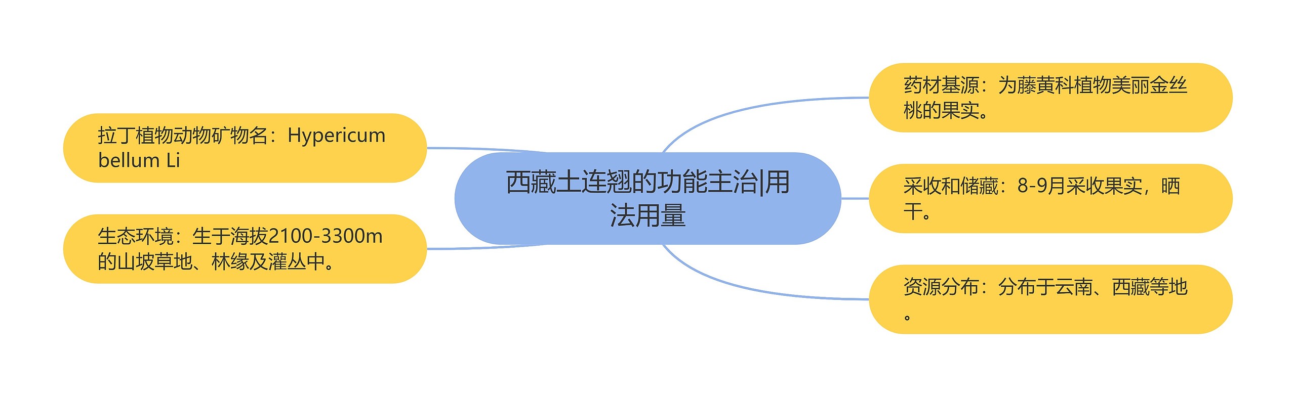 西藏土连翘的功能主治|用法用量 西藏土连翘的功能主治|用法用量