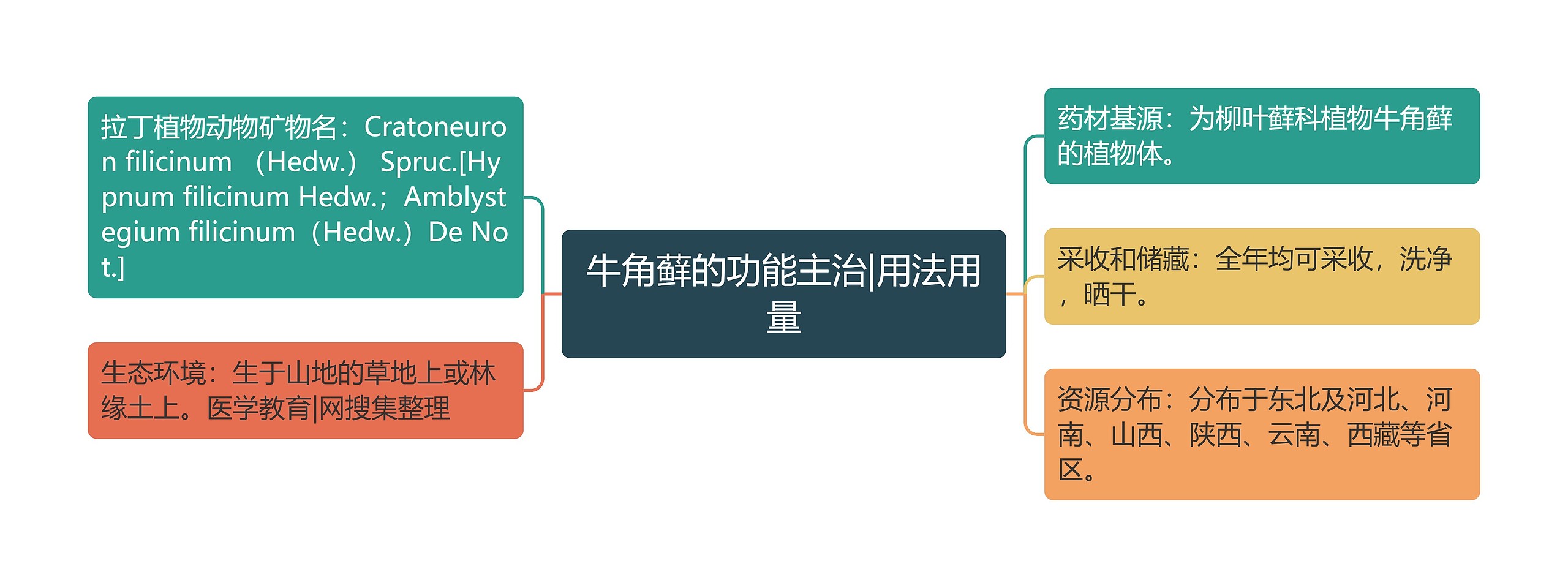 牛角藓的功能主治|用法用量思维导图