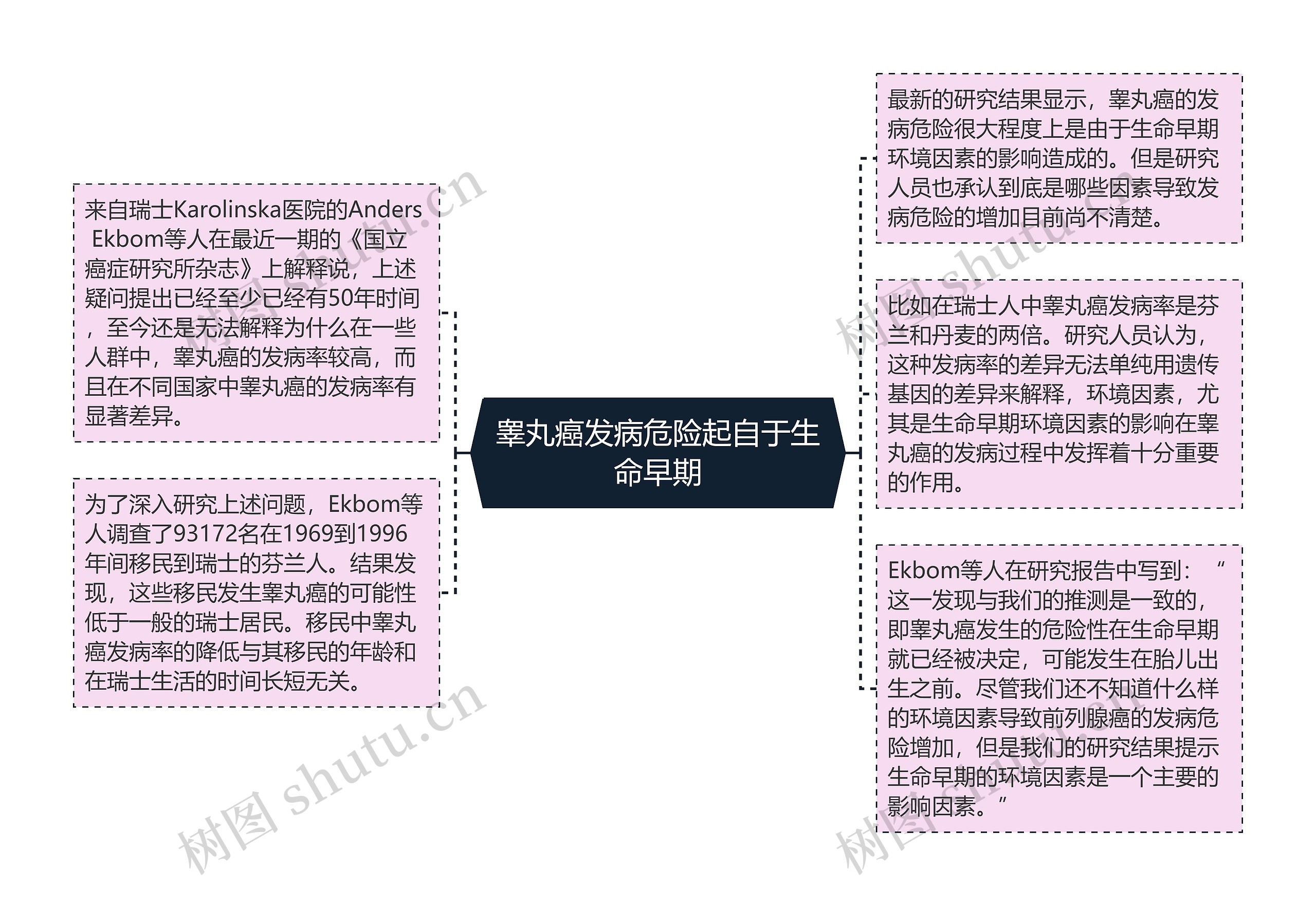 睾丸癌发病危险起自于生命早期思维导图