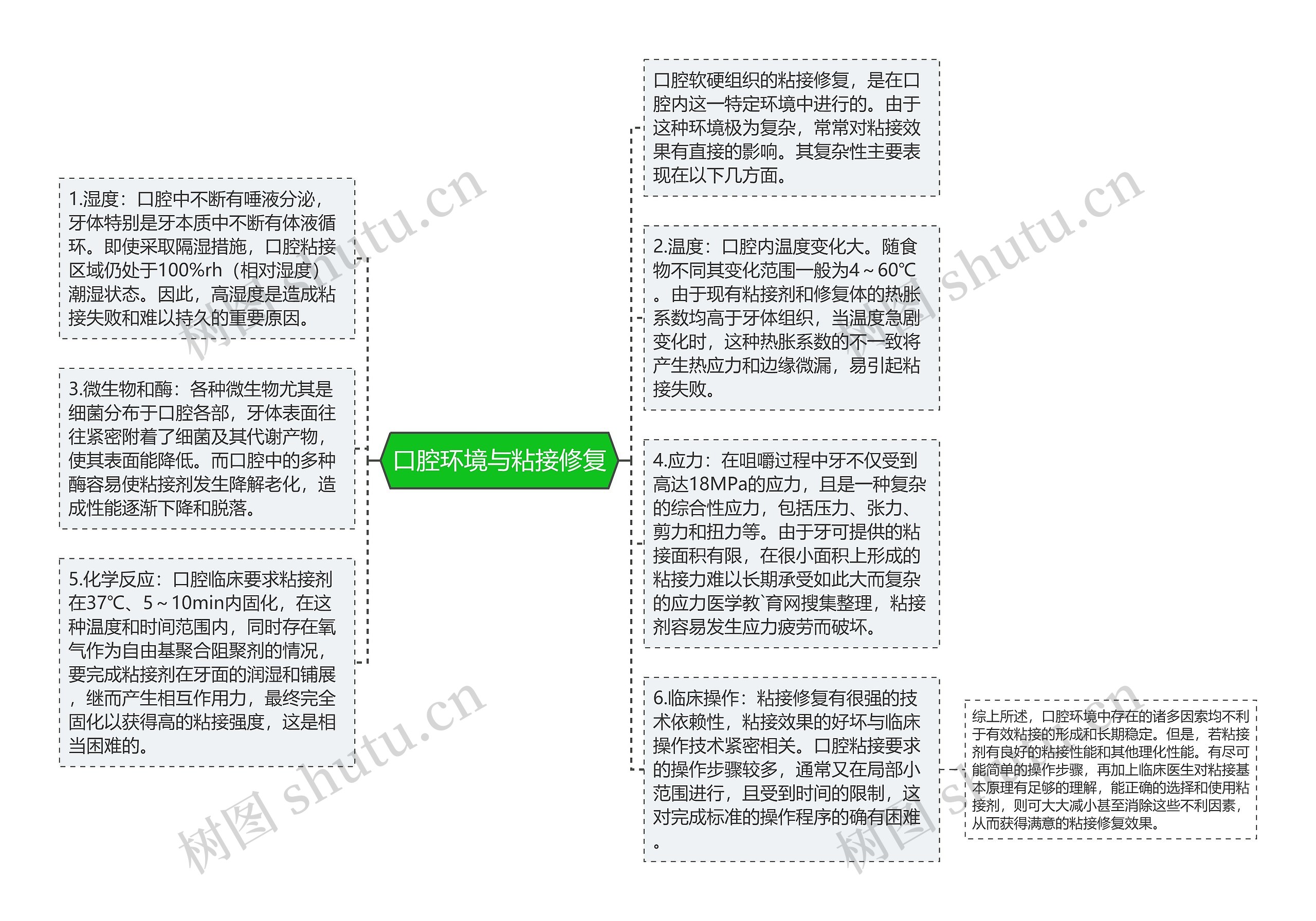 口腔环境与粘接修复