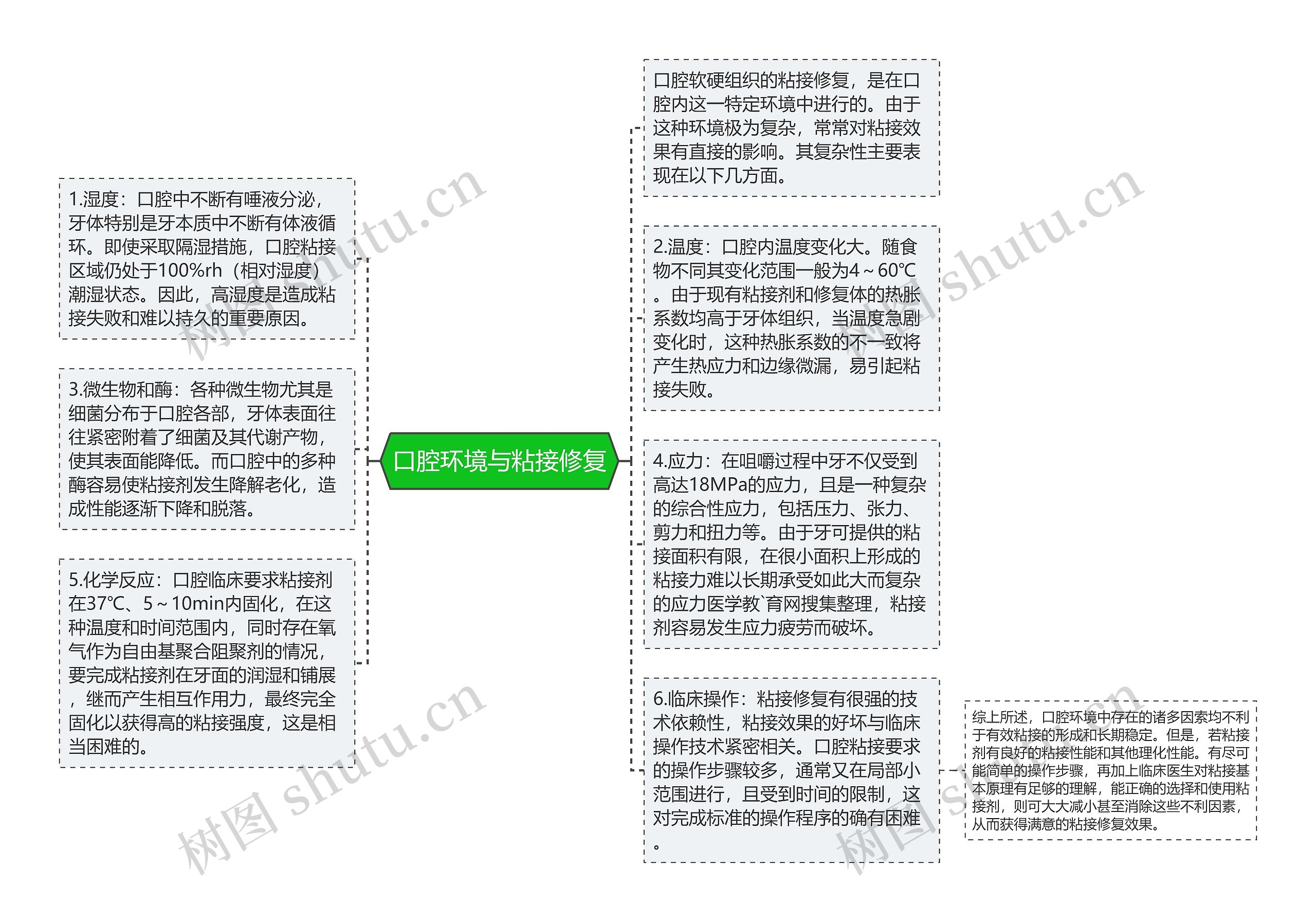 口腔环境与粘接修复思维导图