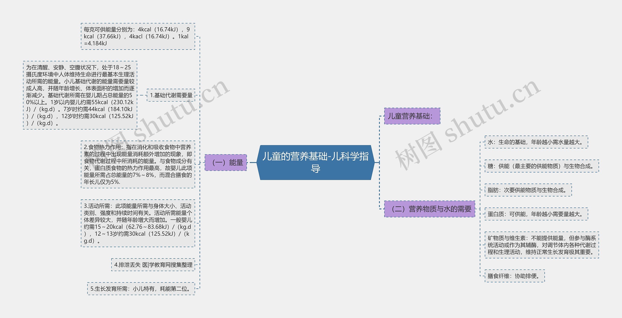 儿童的营养基础-儿科学指导