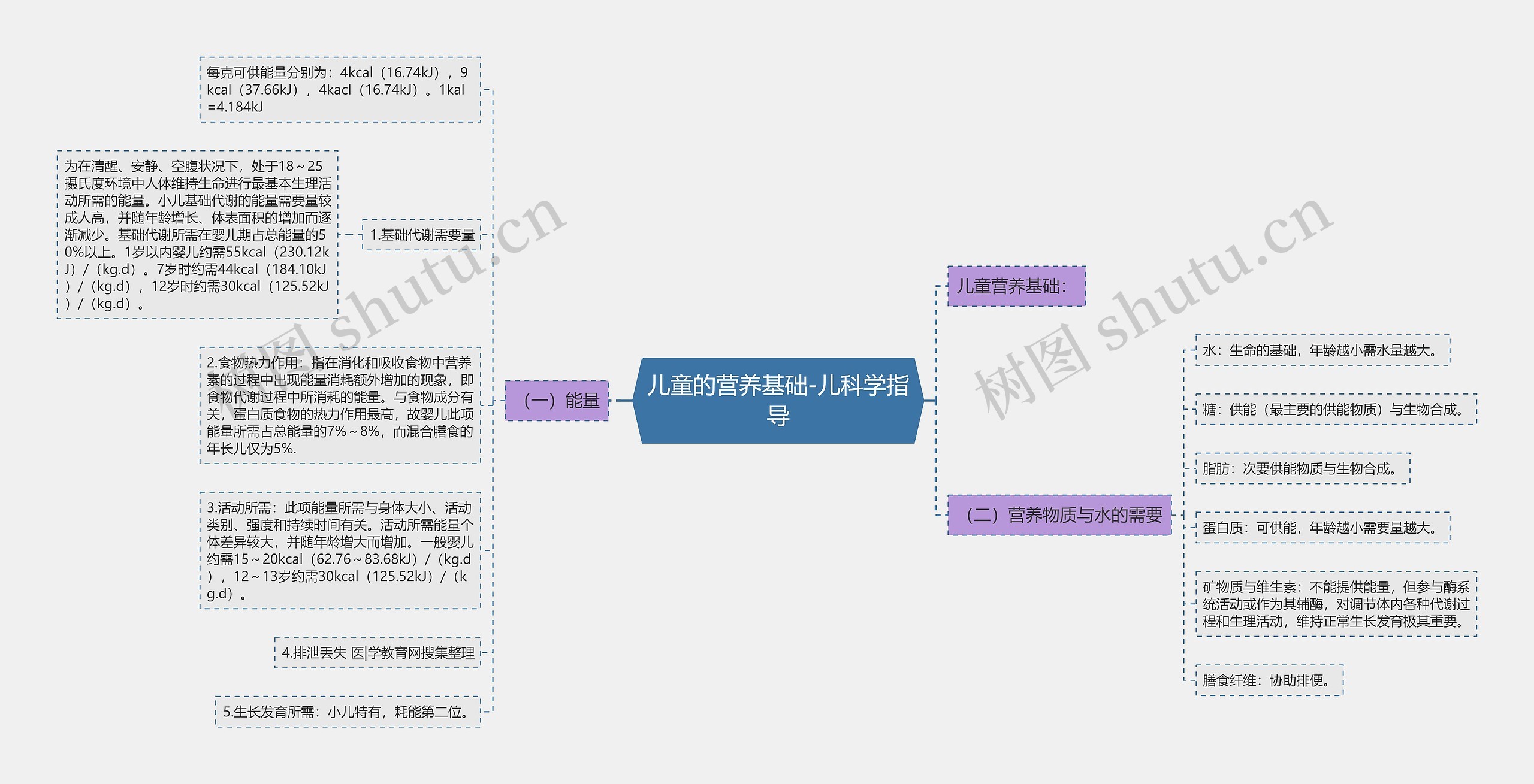 儿童的营养基础-儿科学指导 儿童的营养基础-儿科学指导