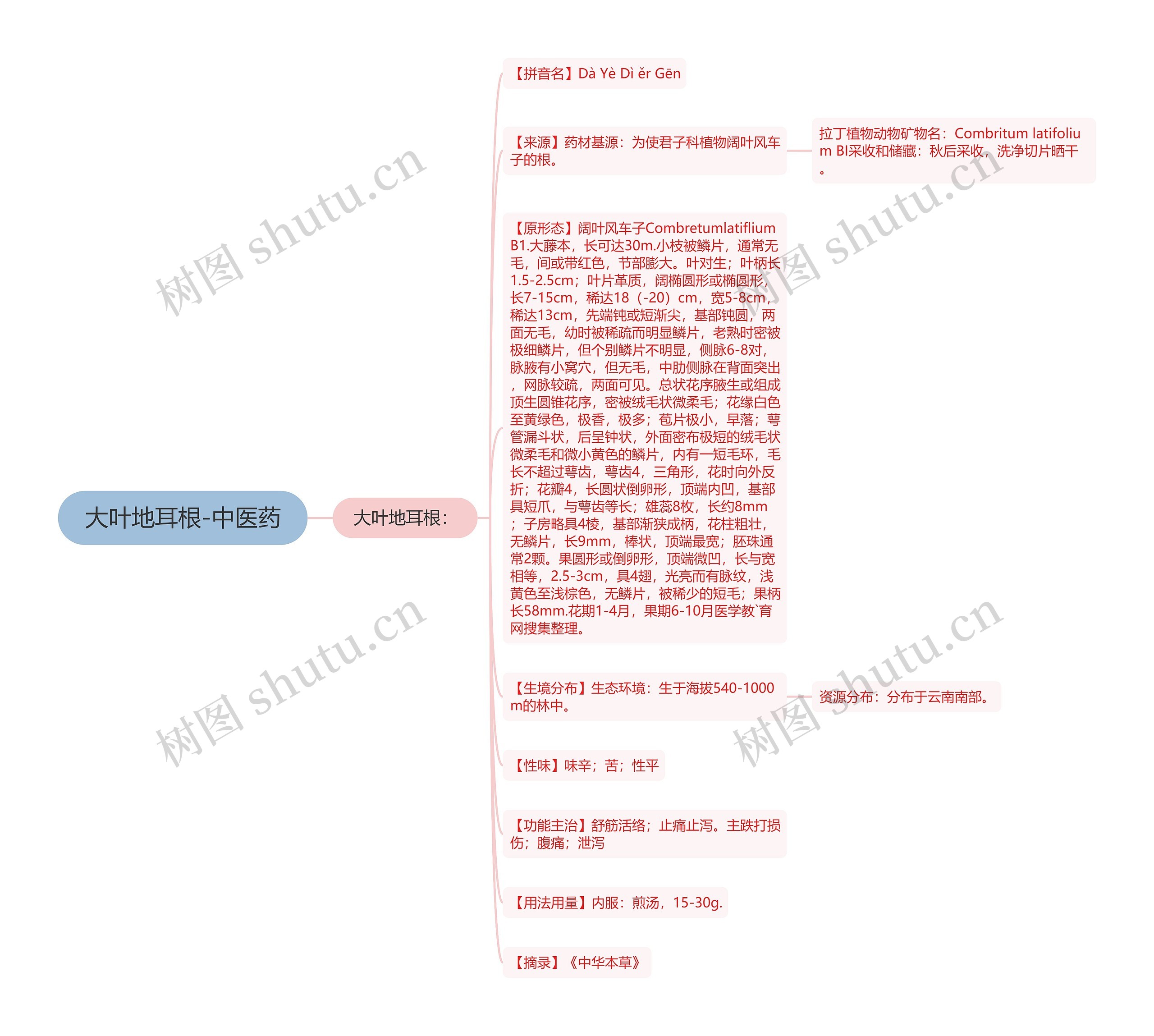 大叶地耳根-中医药 大叶地耳根-中医药