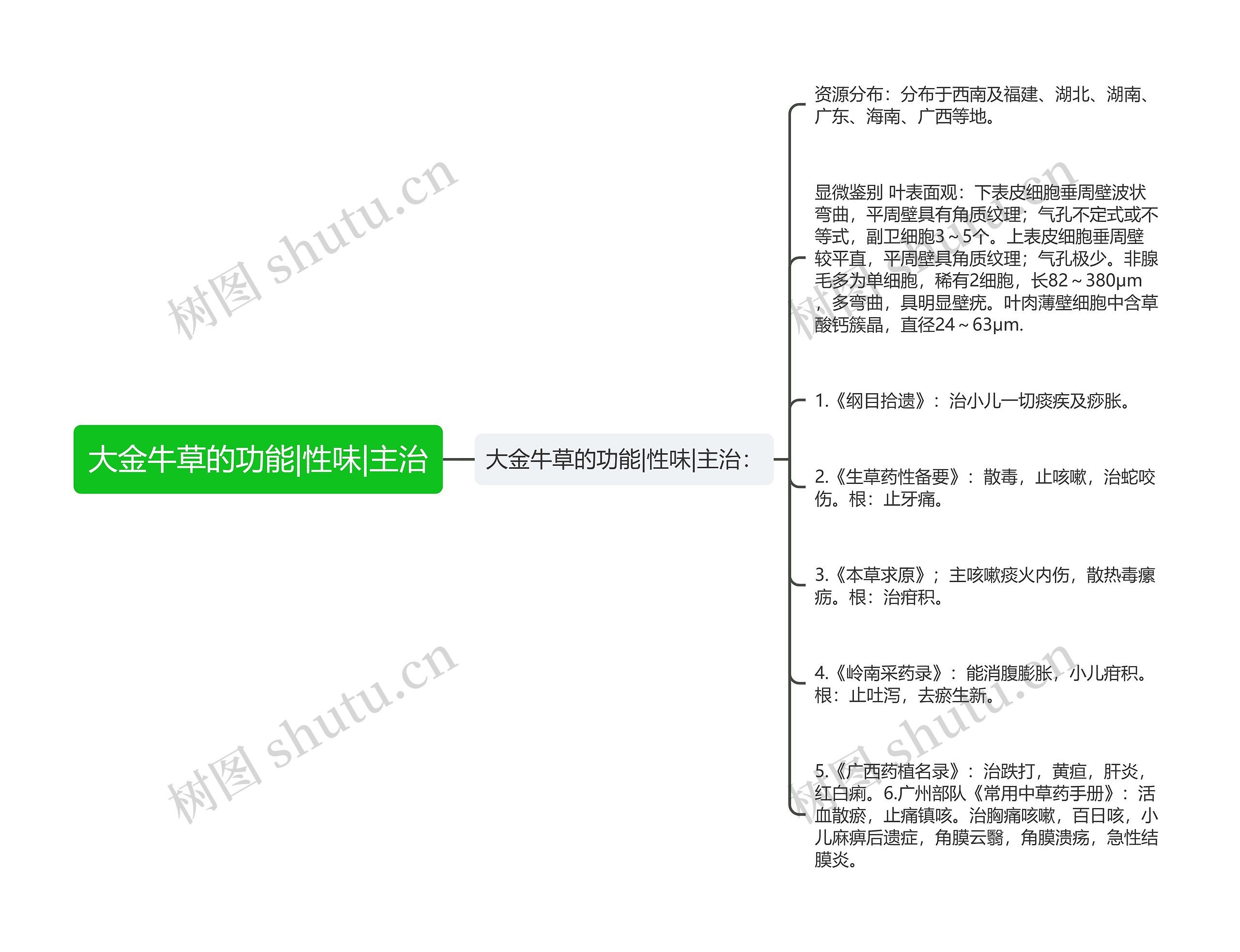 大金牛草的功能|性味|主治思维导图