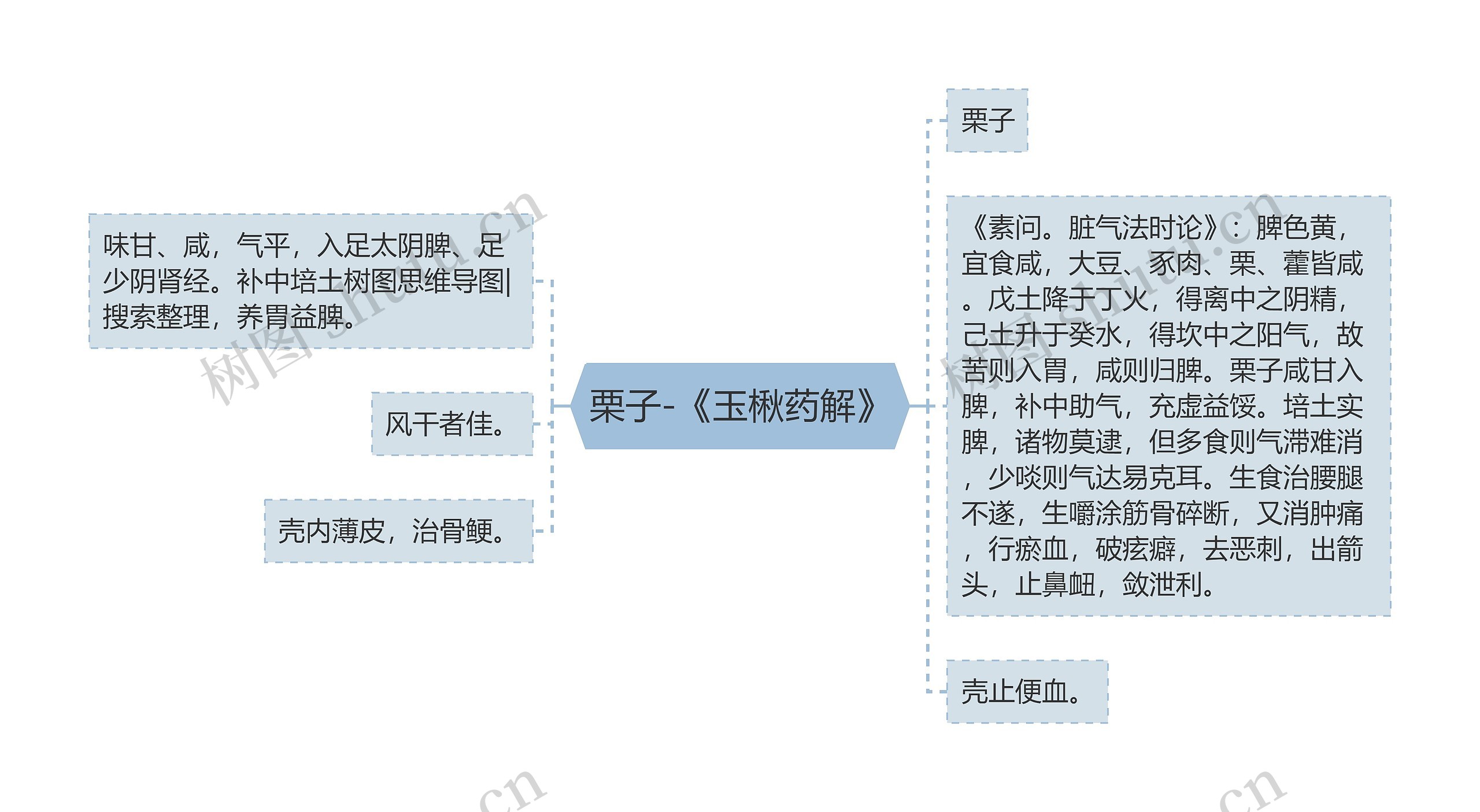 栗子-《玉楸药解》思维导图