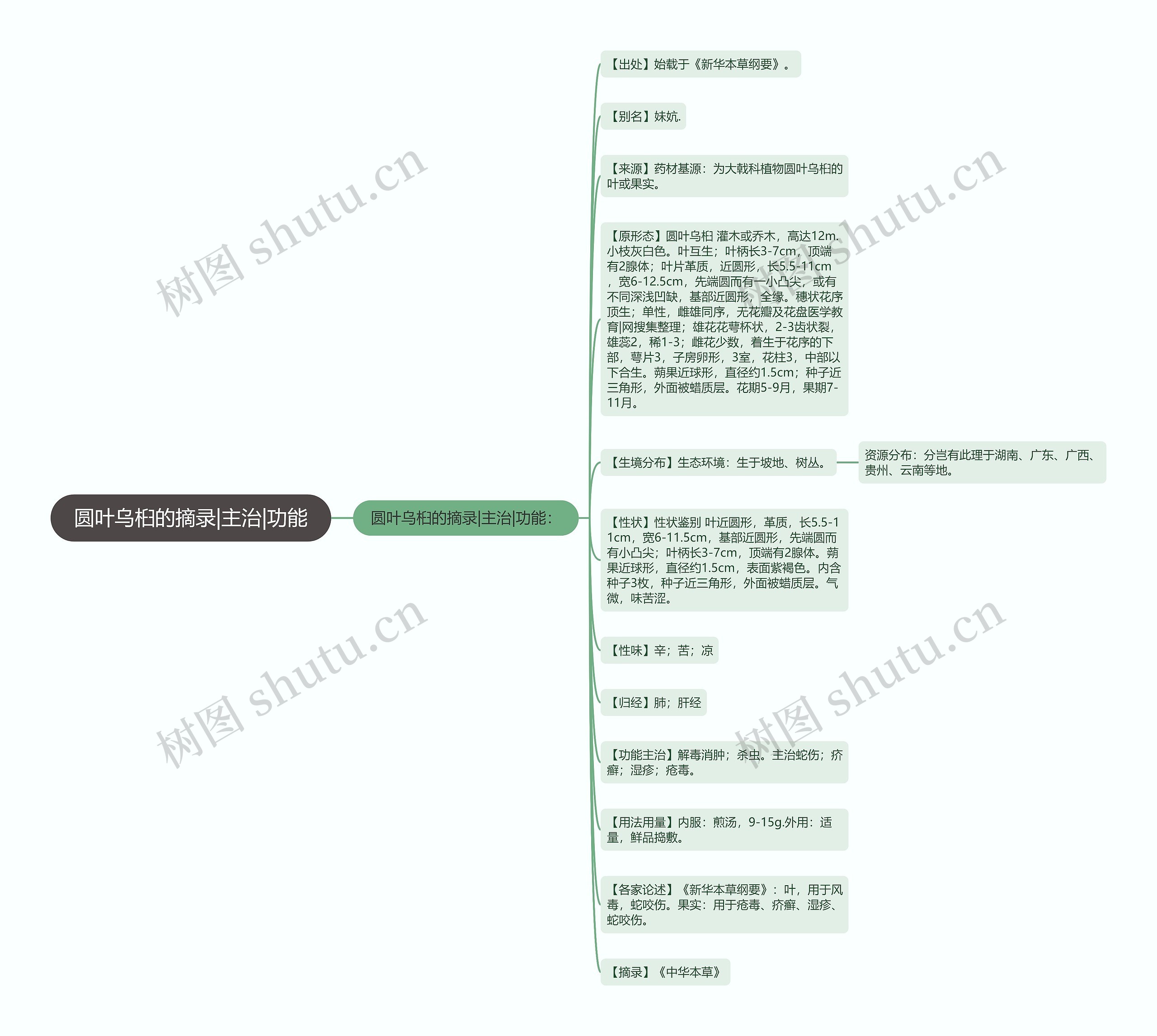 圆叶乌桕的摘录|主治|功能思维导图
