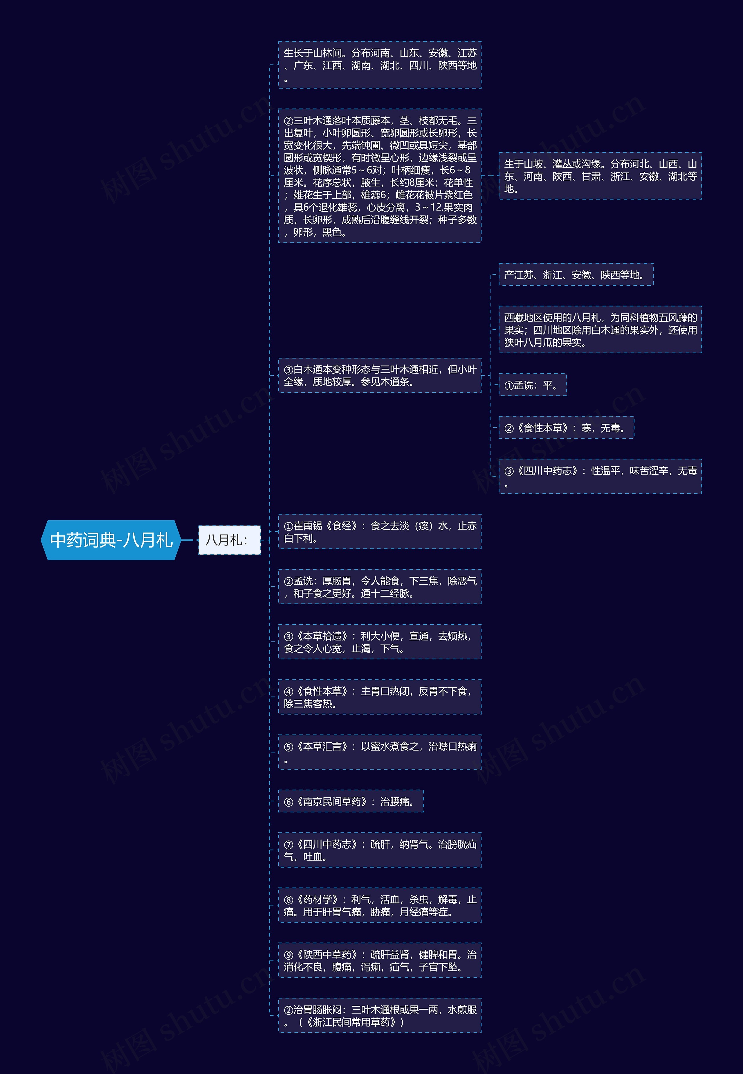 中药词典-八月札思维导图