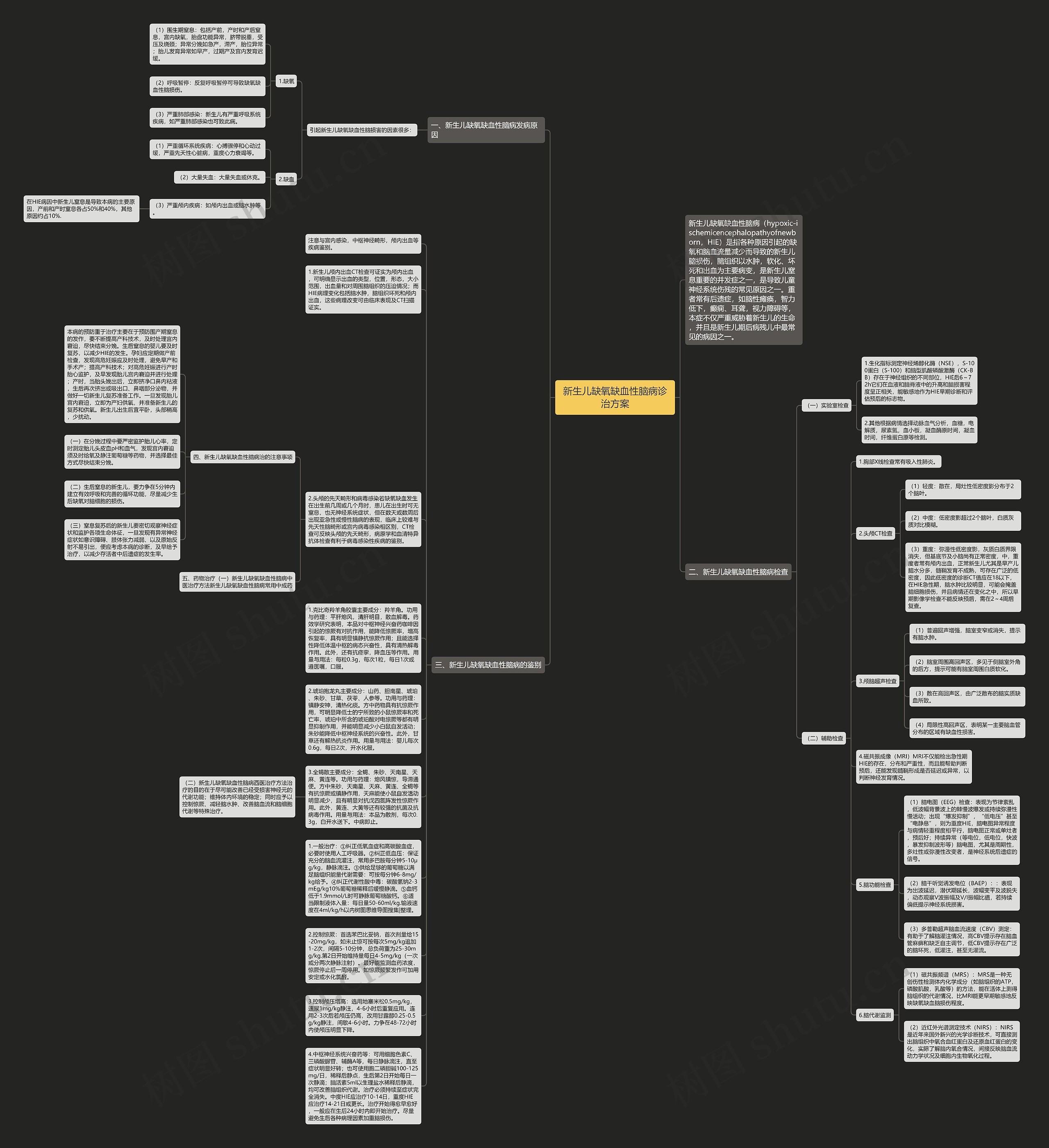 新生儿缺氧缺血性脑病诊治方案