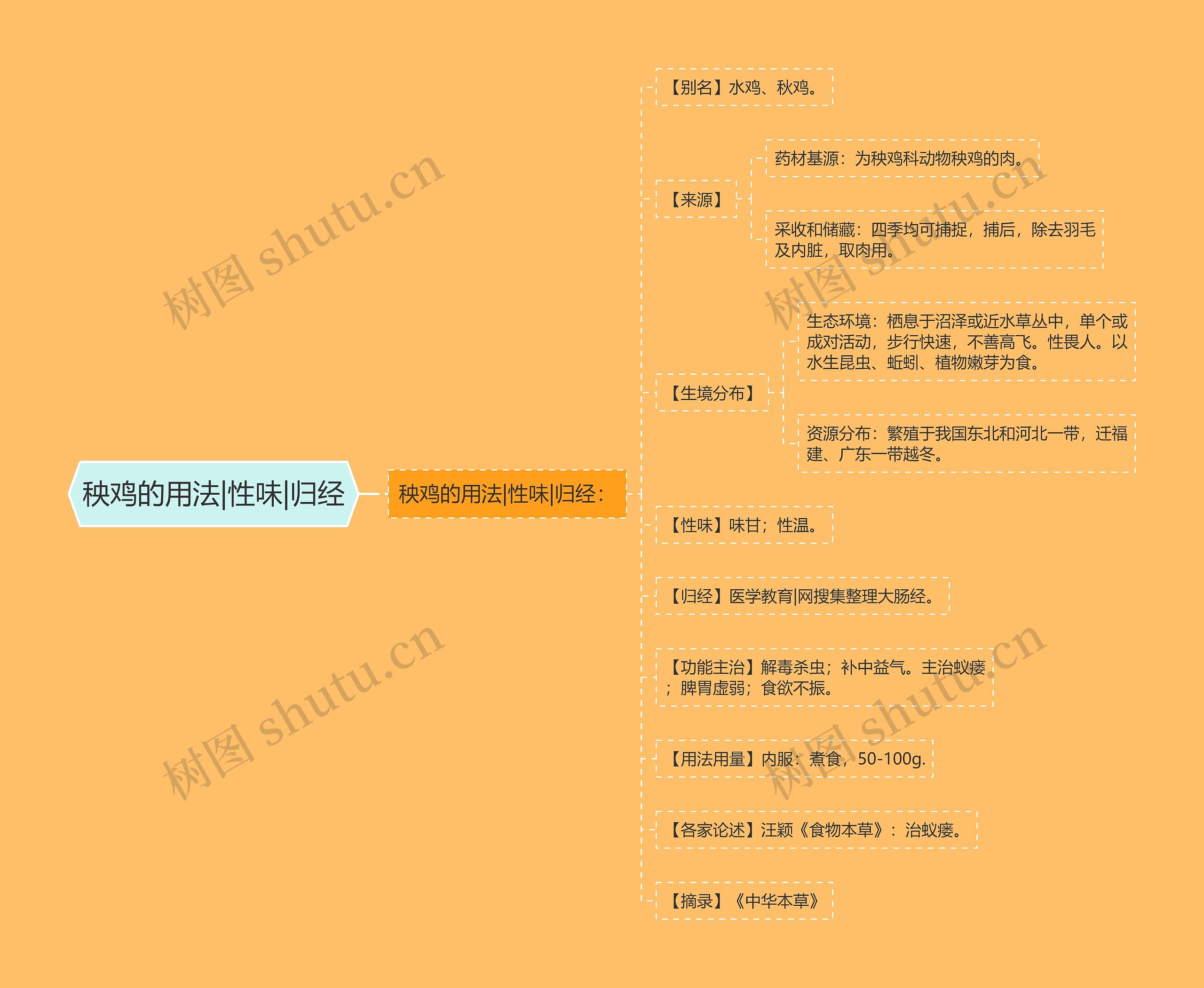 秧鸡的用法|性味|归经思维导图