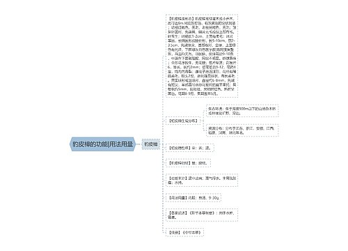 豹皮樟的功能|用法用量