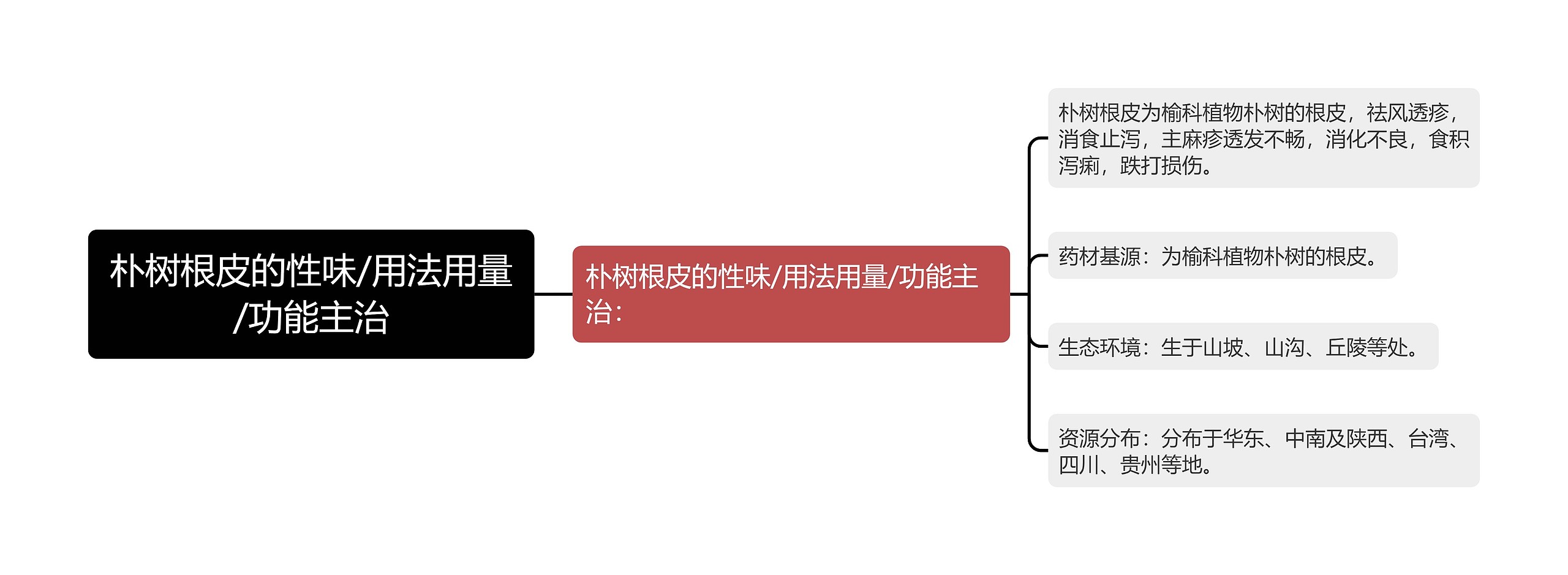 朴树根皮的性味/用法用量/功能主治