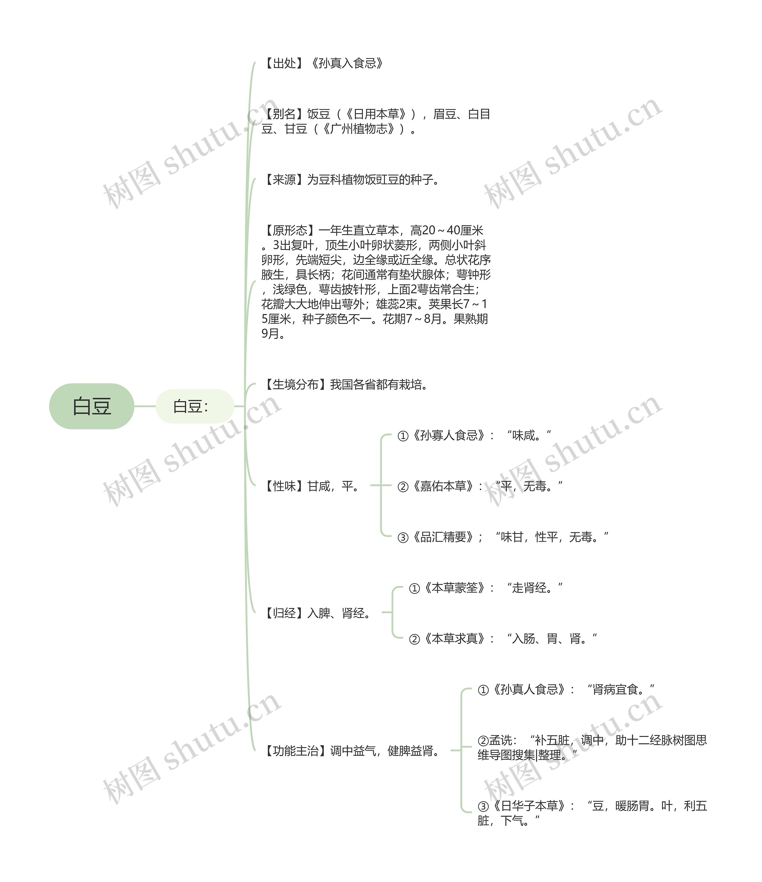 白豆思维导图