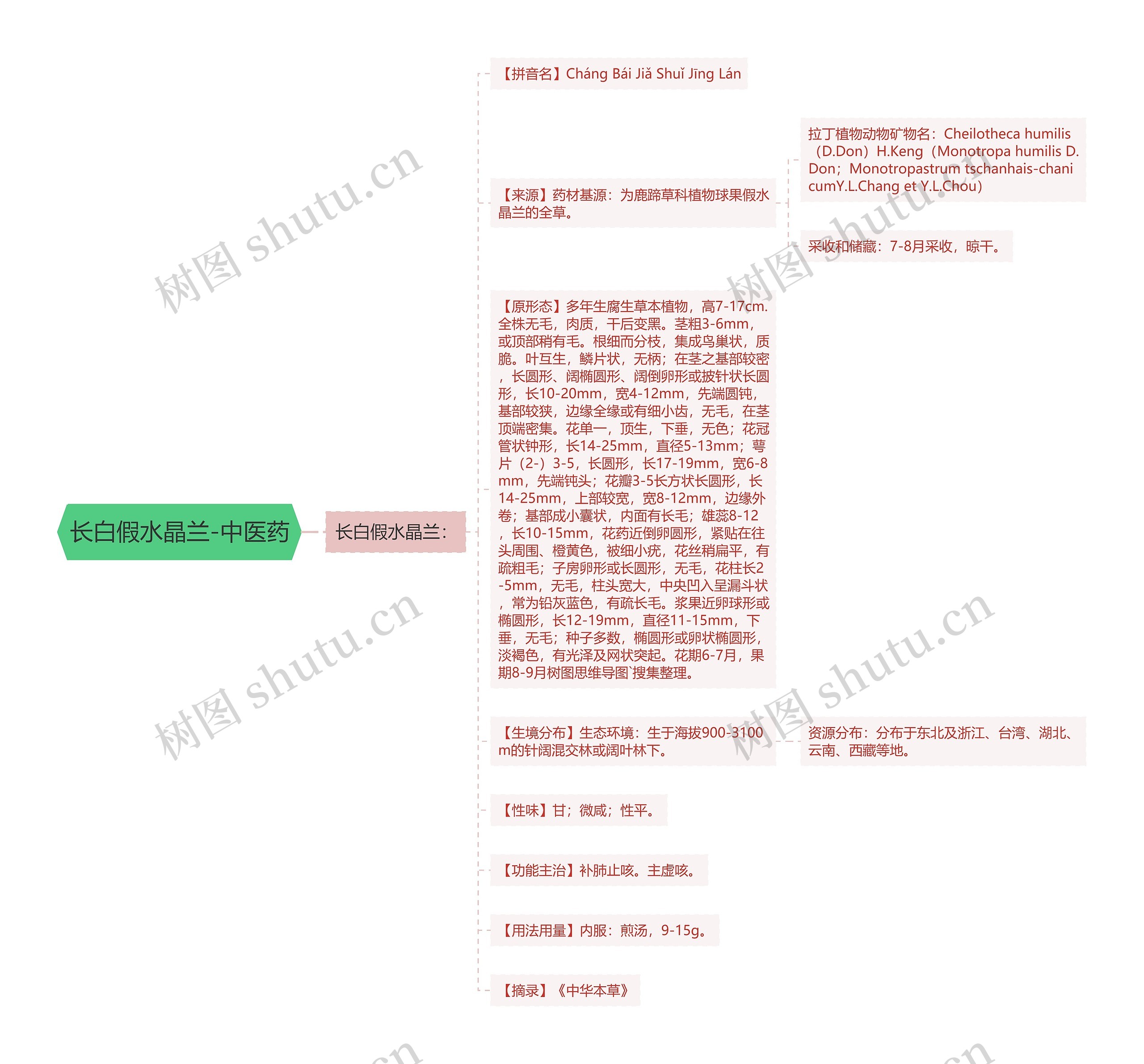 长白假水晶兰-中医药 长白假水晶兰-中医药