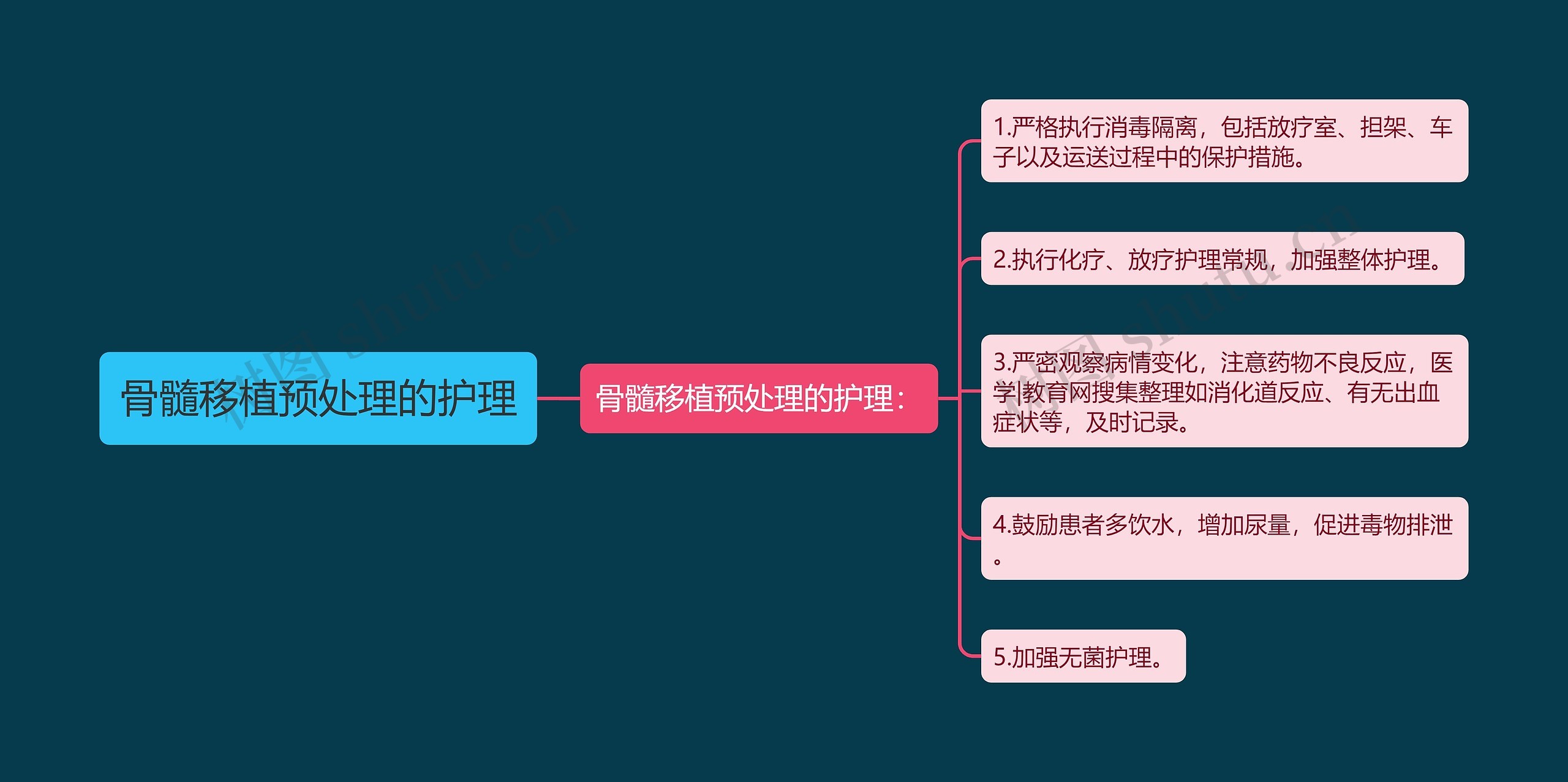 骨髓移植预处理的护理思维导图