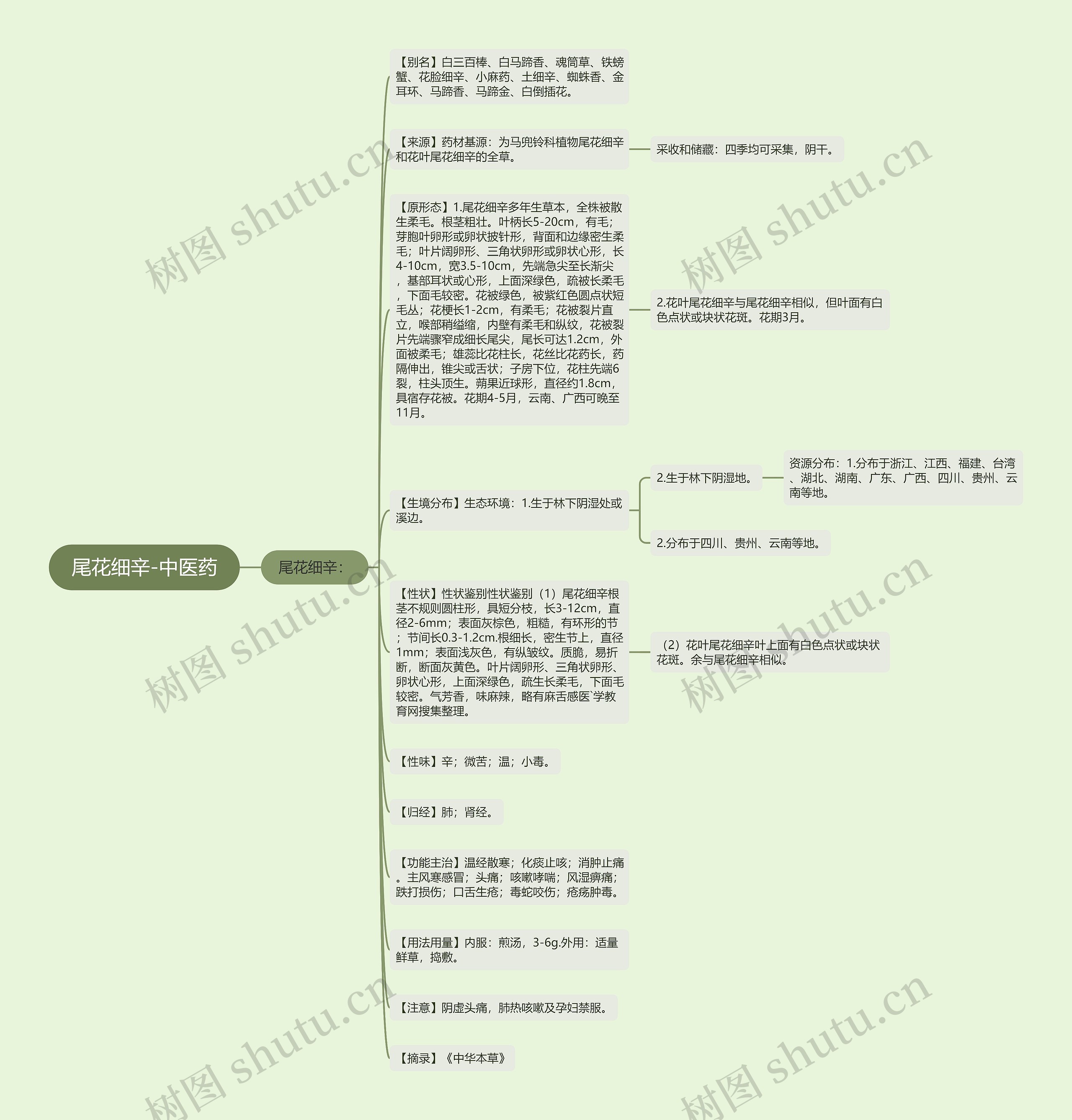 尾花细辛-中医药思维导图