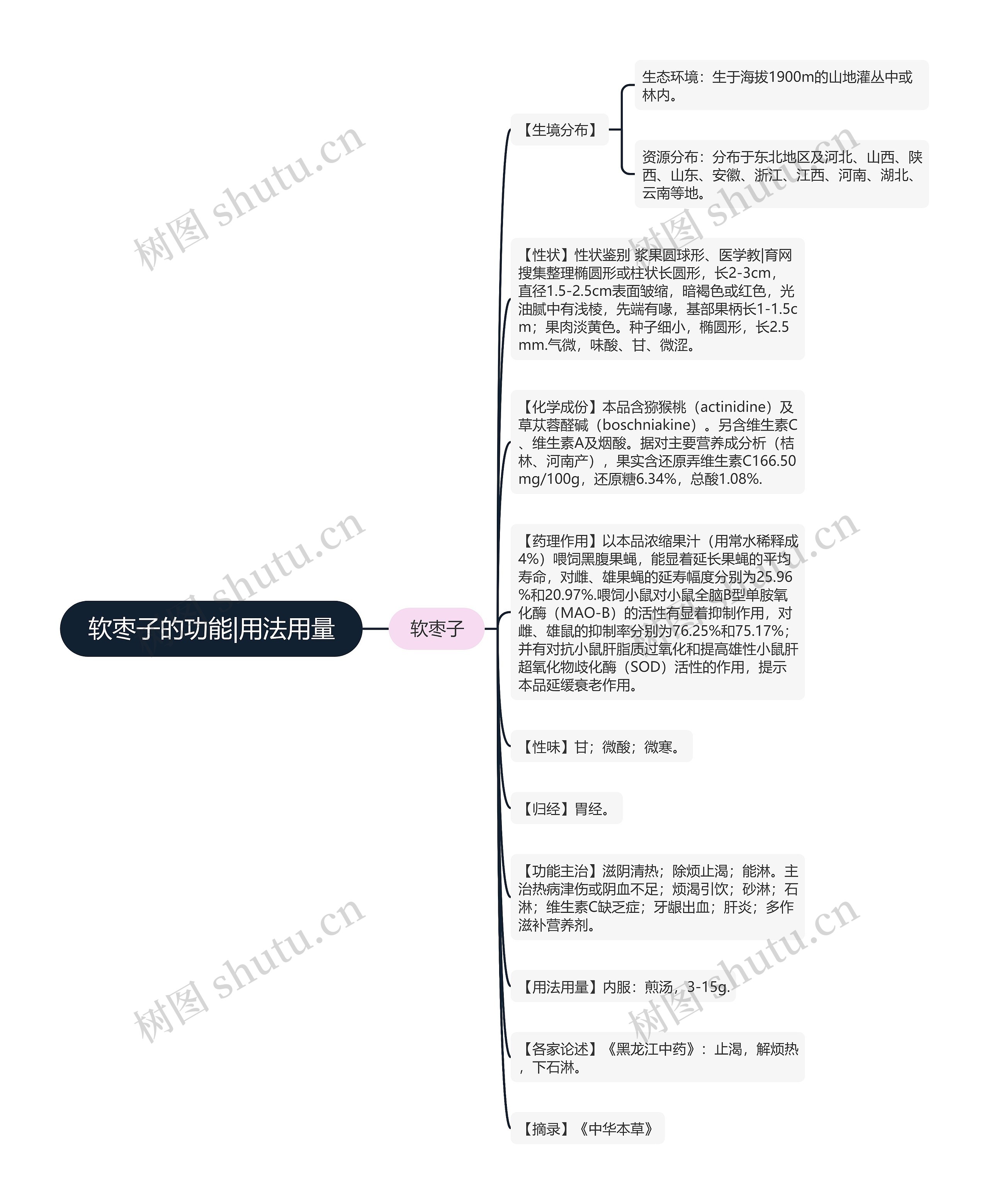 软枣子的功能|用法用量