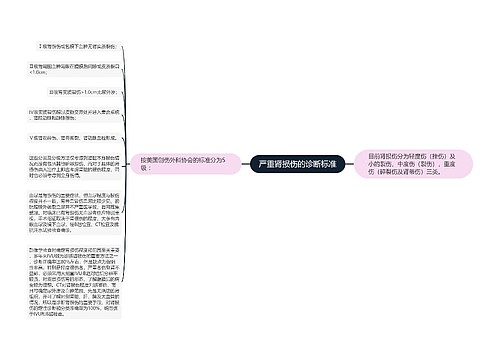 严重肾损伤的诊断标准