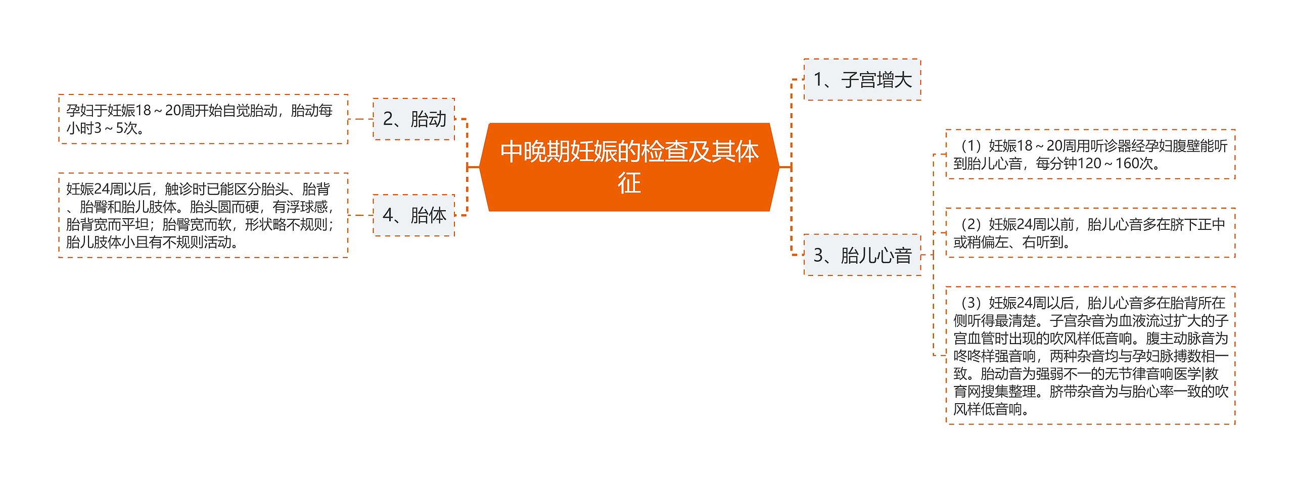 中晚期妊娠的检查及其体征思维导图