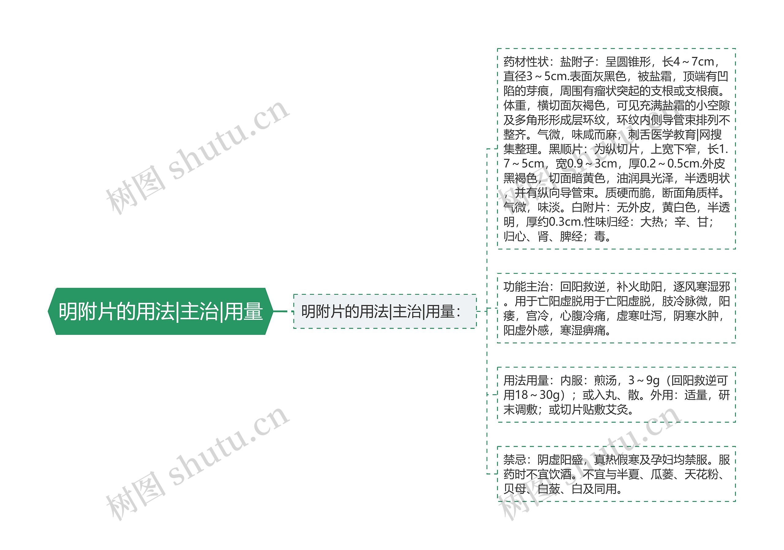 明附片的用法|主治|用量思维导图