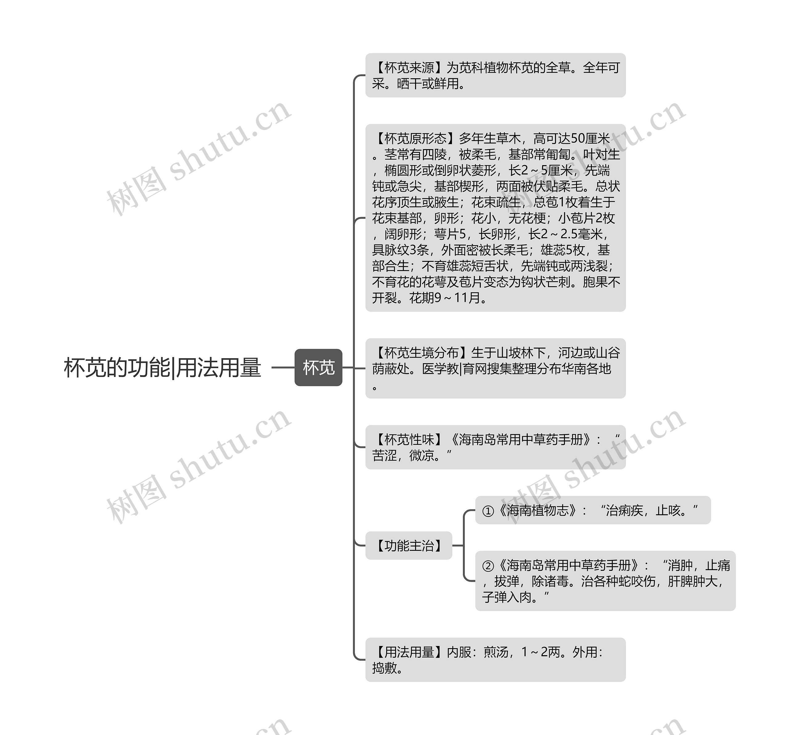 杯苋的功能|用法用量