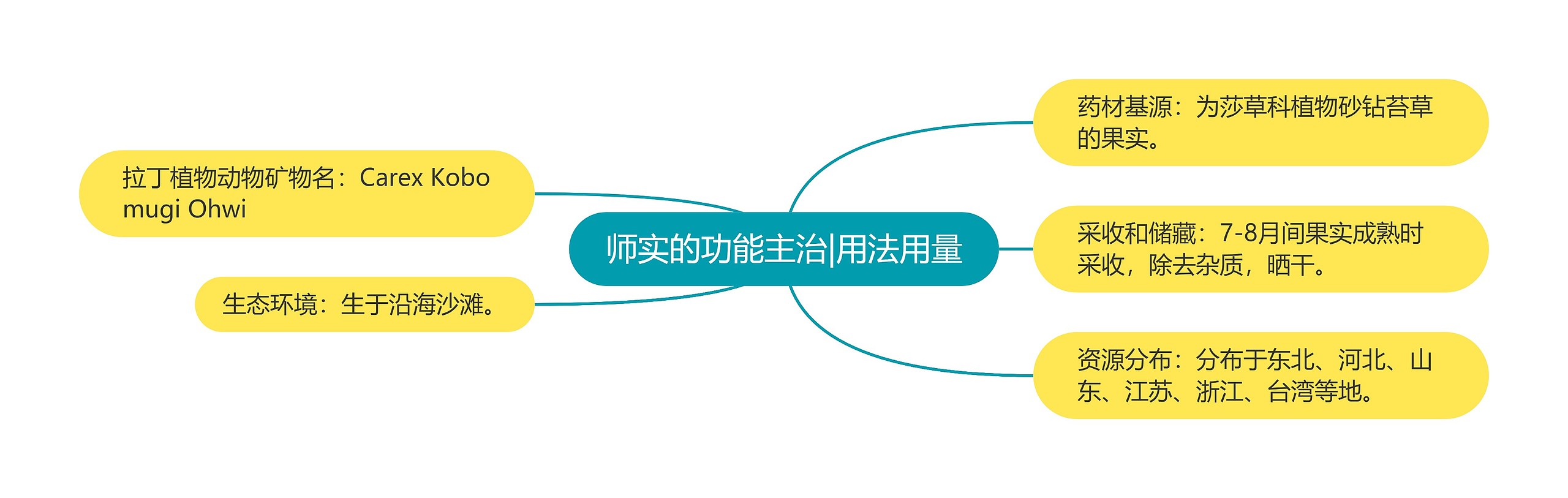 师实的功能主治|用法用量