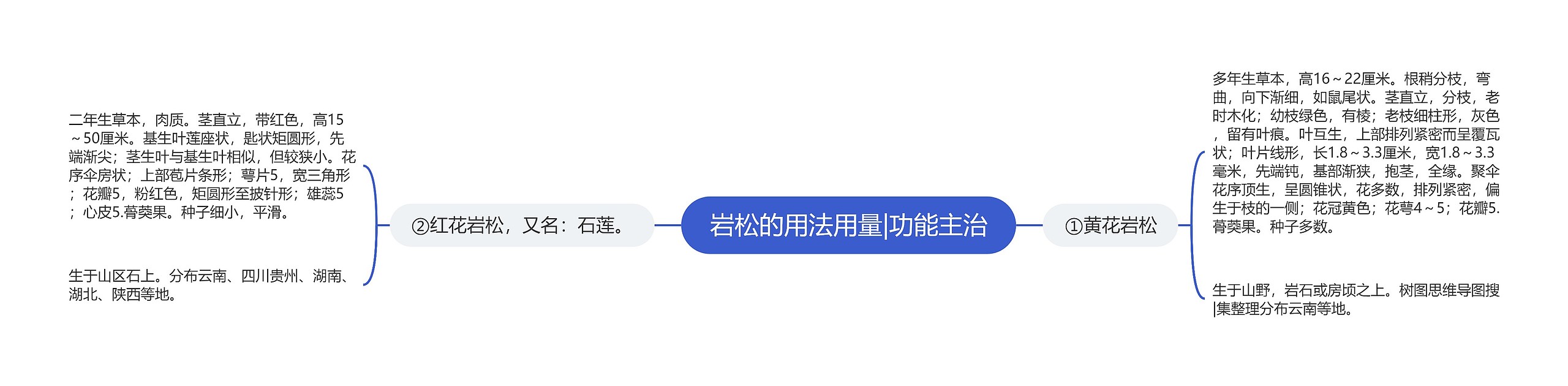 岩松的用法用量|功能主治思维导图