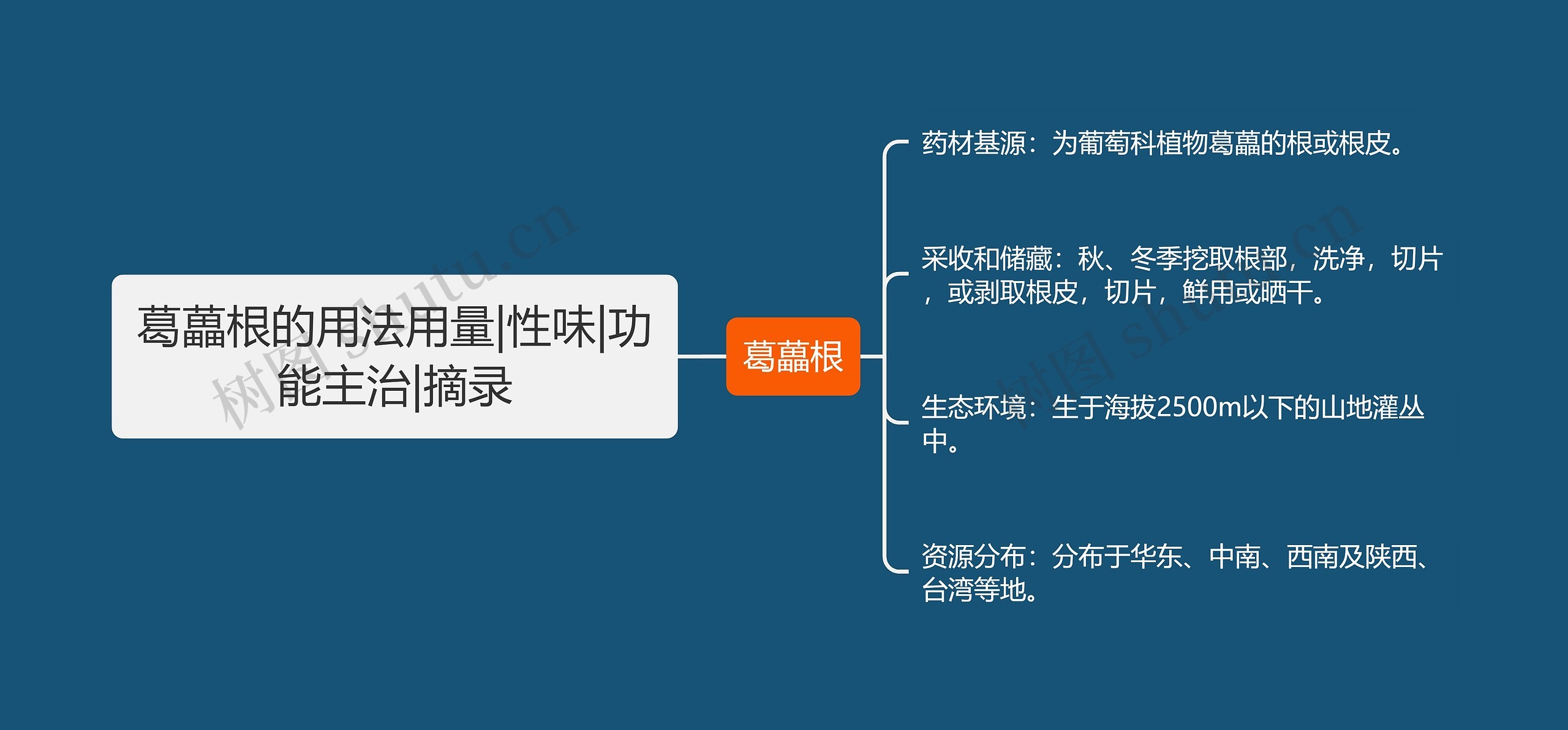 葛藟根的用法用量|性味|功能主治|摘录思维导图