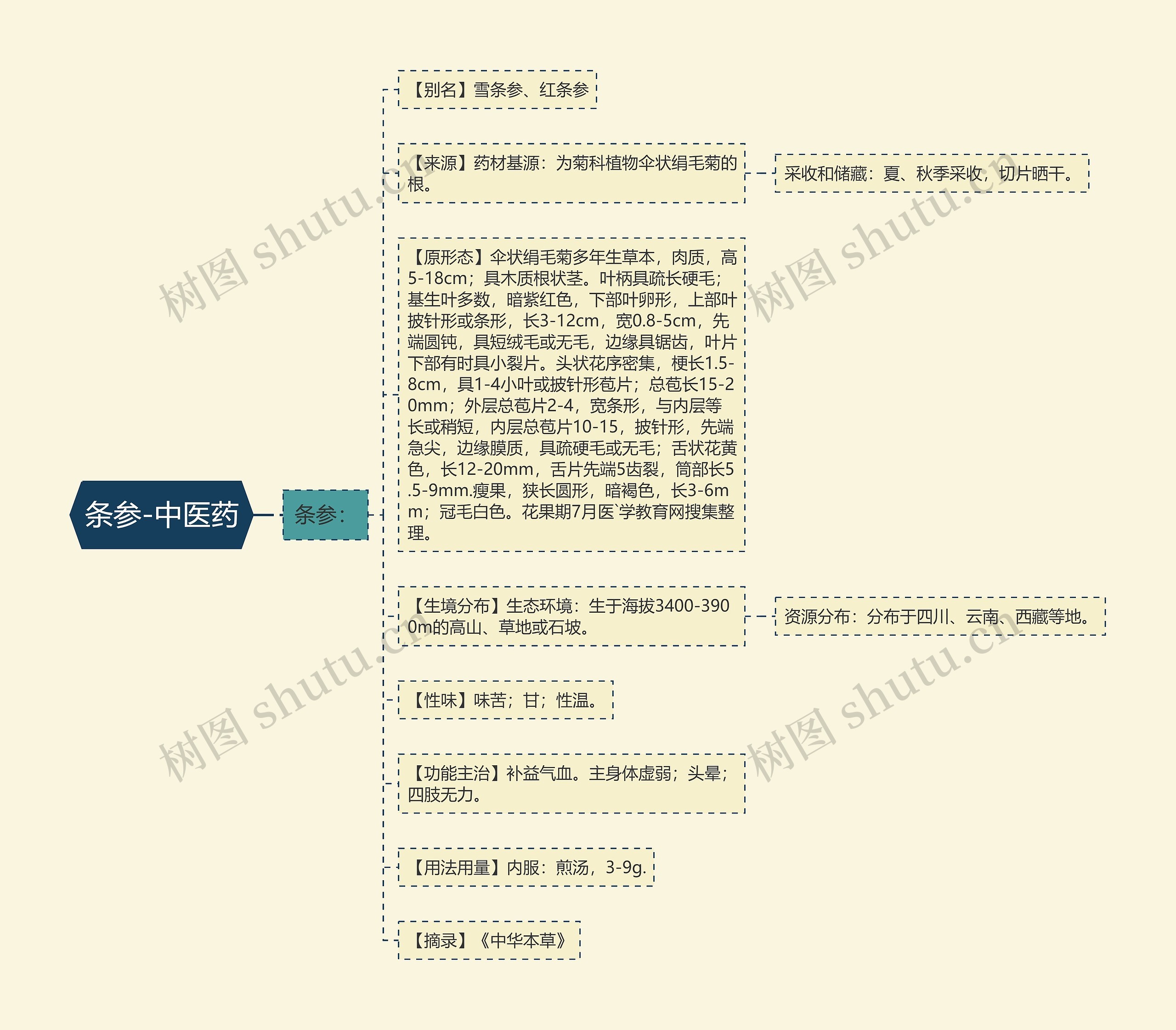条参-中医药思维导图