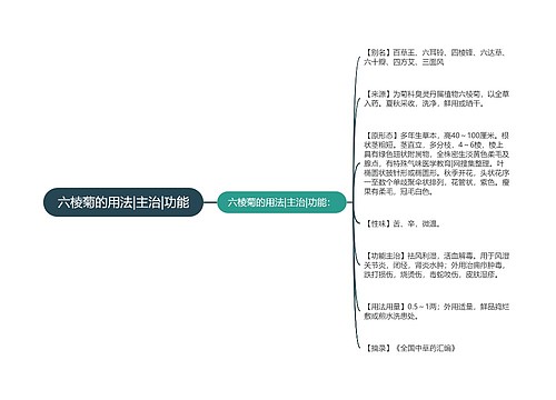 六棱菊的用法|主治|功能