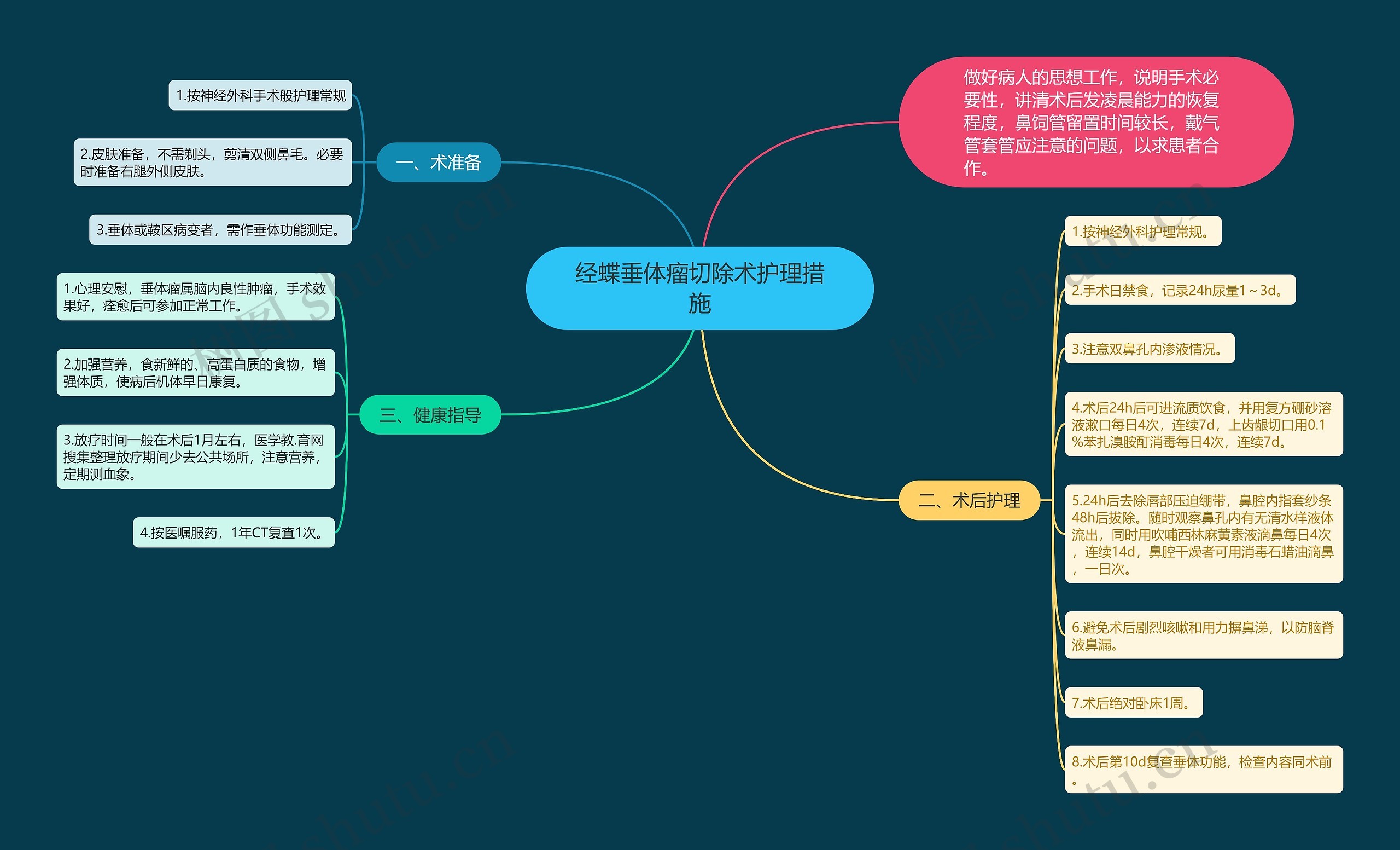 经蝶垂体瘤切除术护理措施思维导图