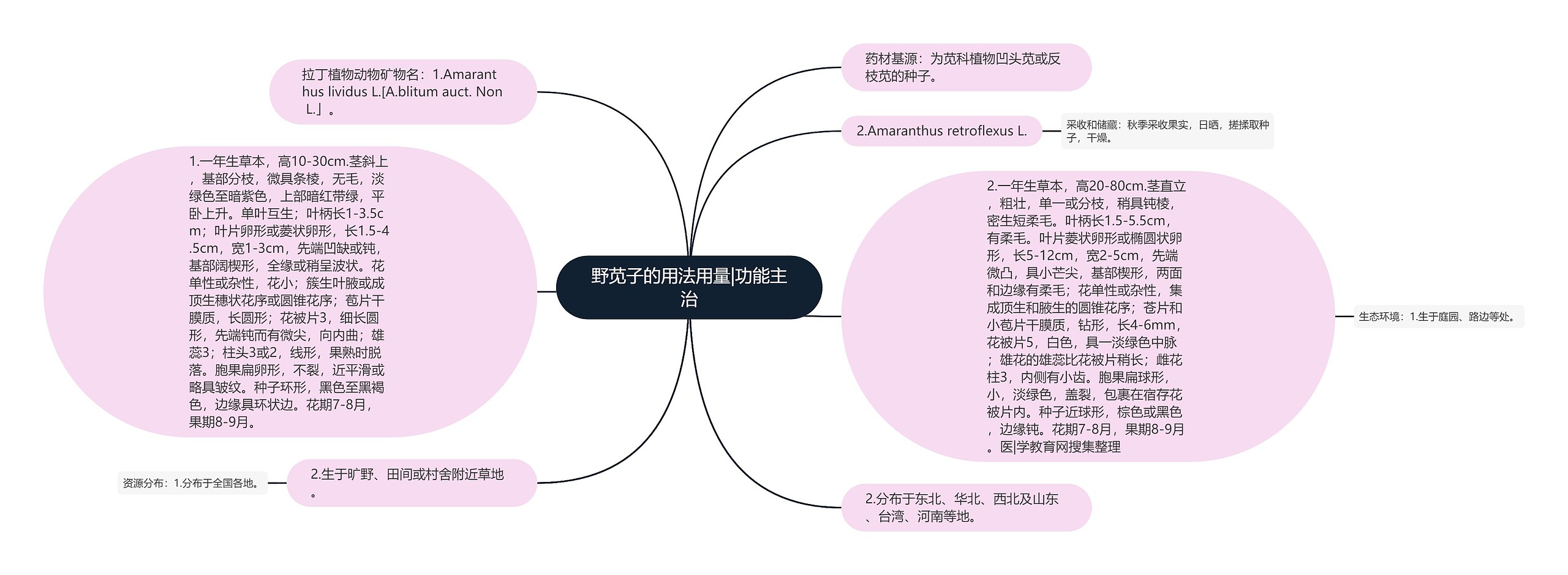 野苋子的用法用量|功能主治