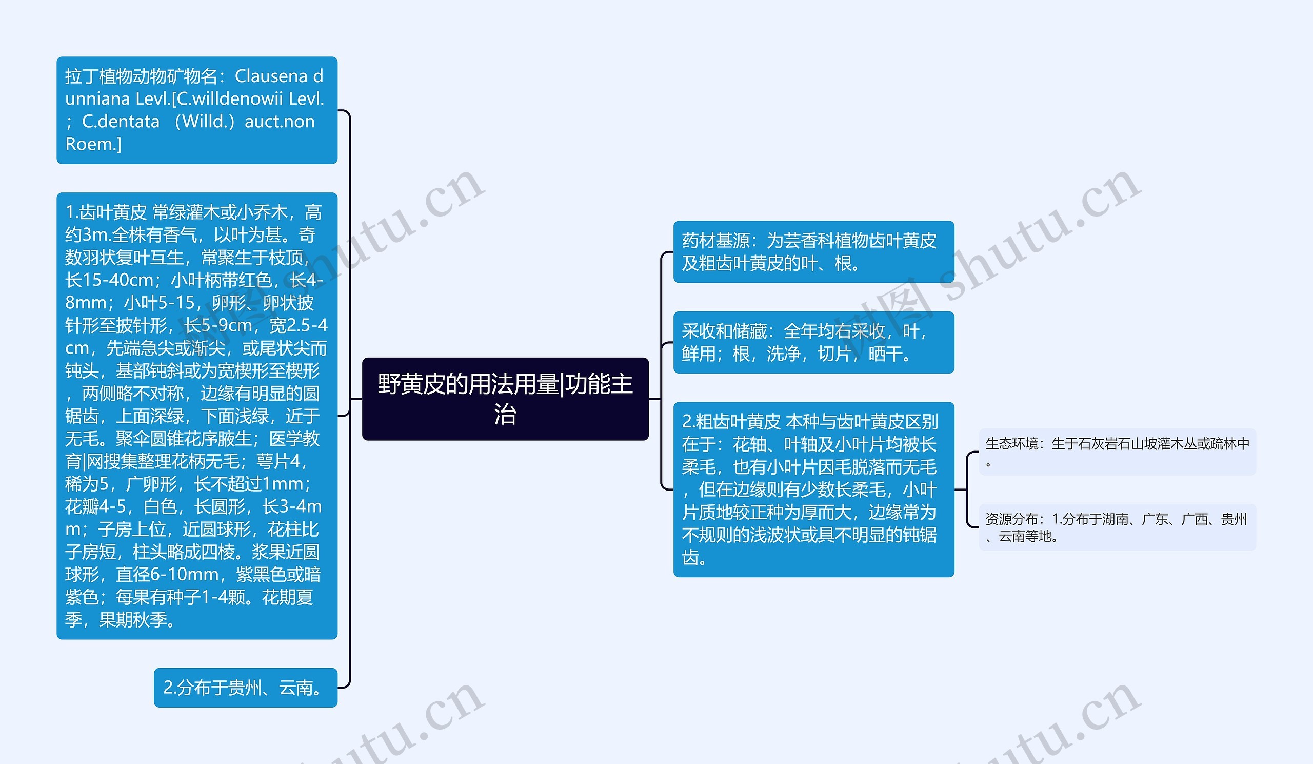 野黄皮的用法用量|功能主治