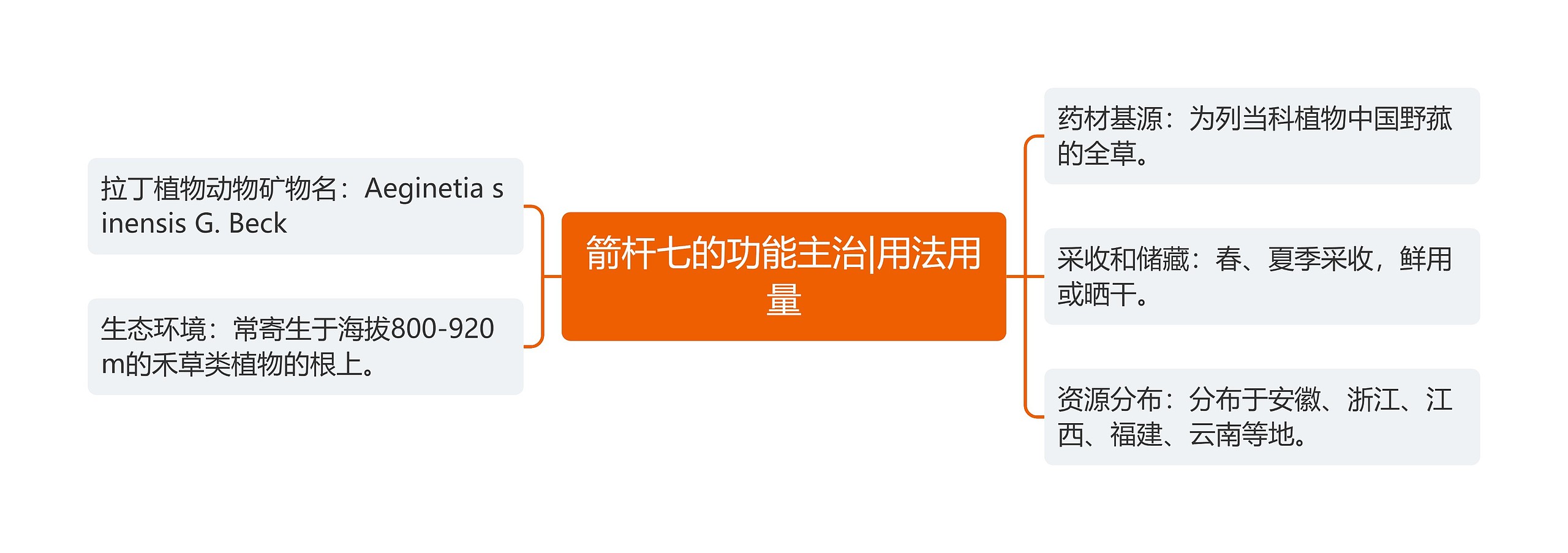 箭杆七的功能主治|用法用量 箭杆七的功能主治|用法用量