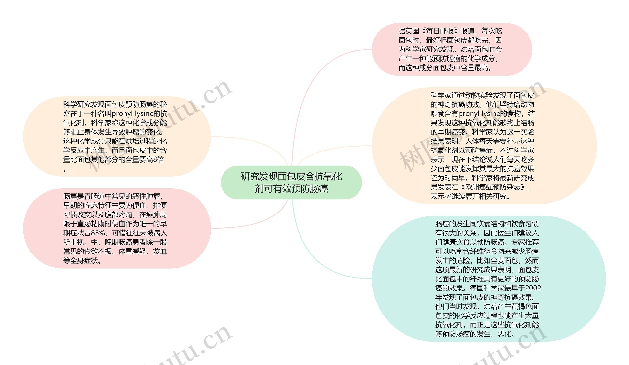 研究发现面包皮含抗氧化剂可有效预防肠癌思维导图