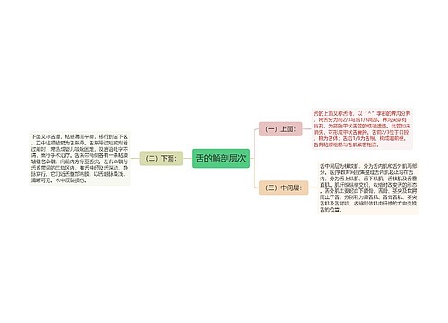 舌的解剖层次